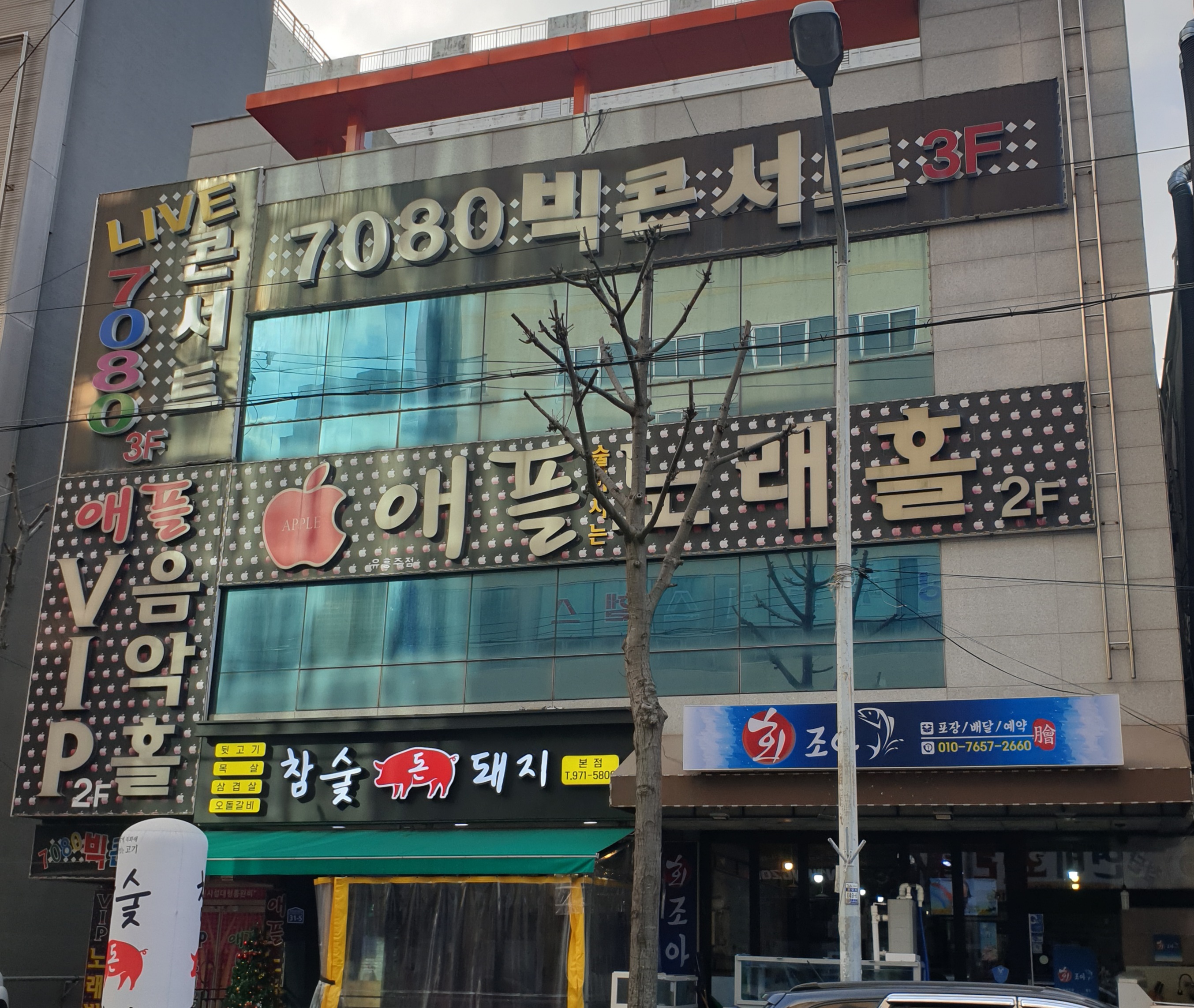 애플노래홀