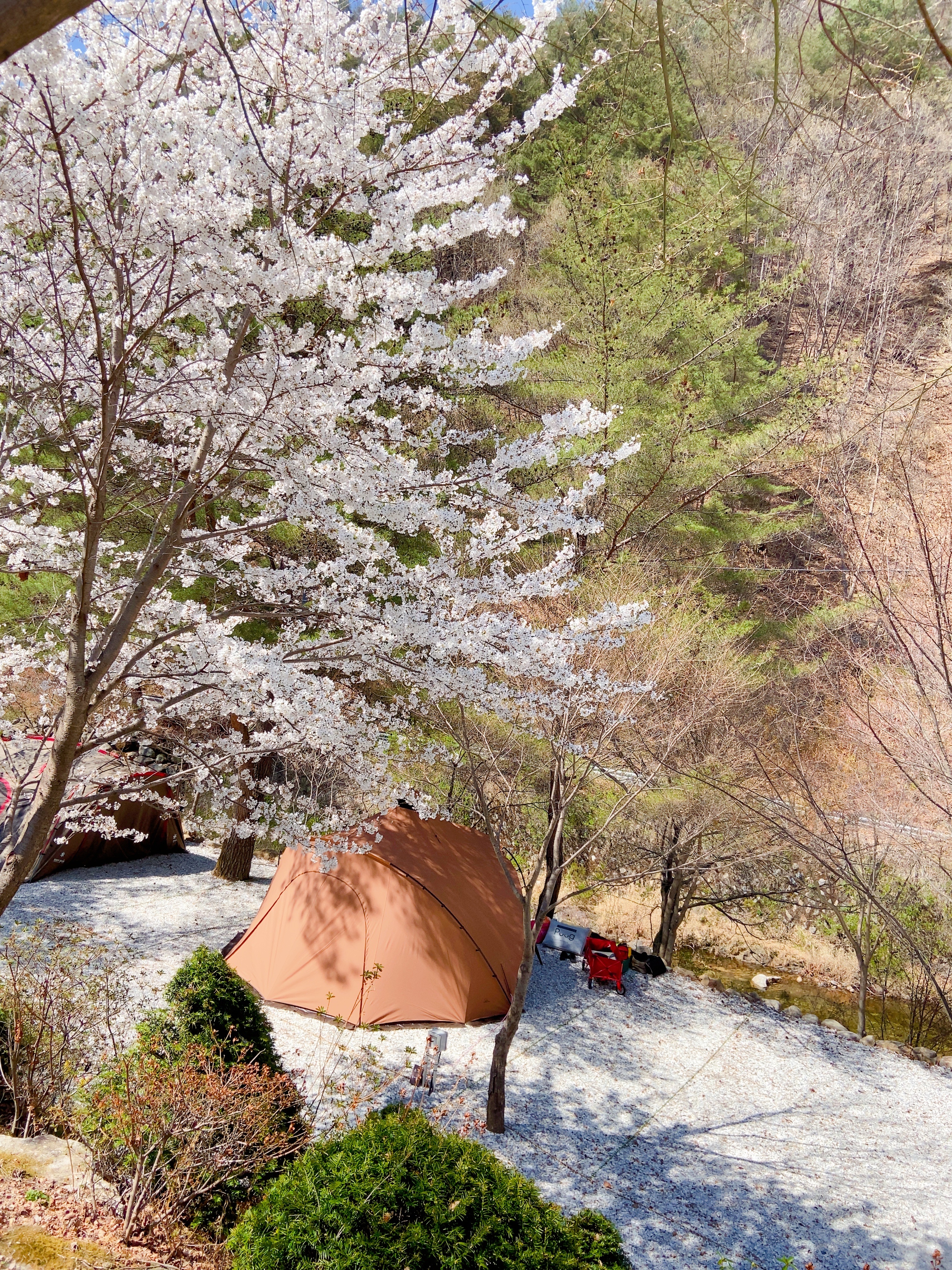 캠핑장 사진