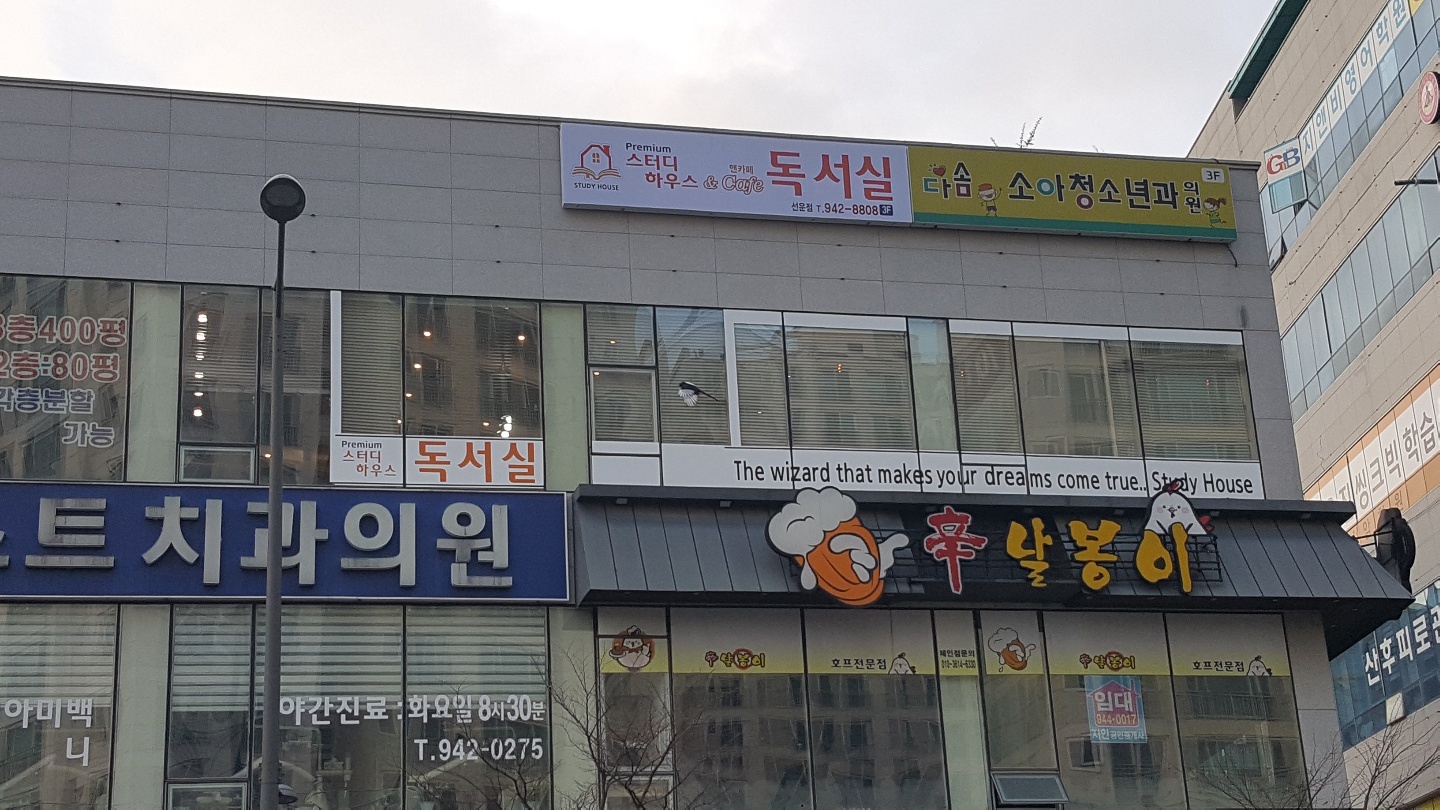 스터디하우스앤카페 선운점