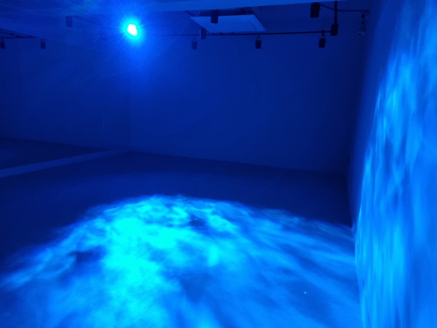 4번째 스튜디오 사진