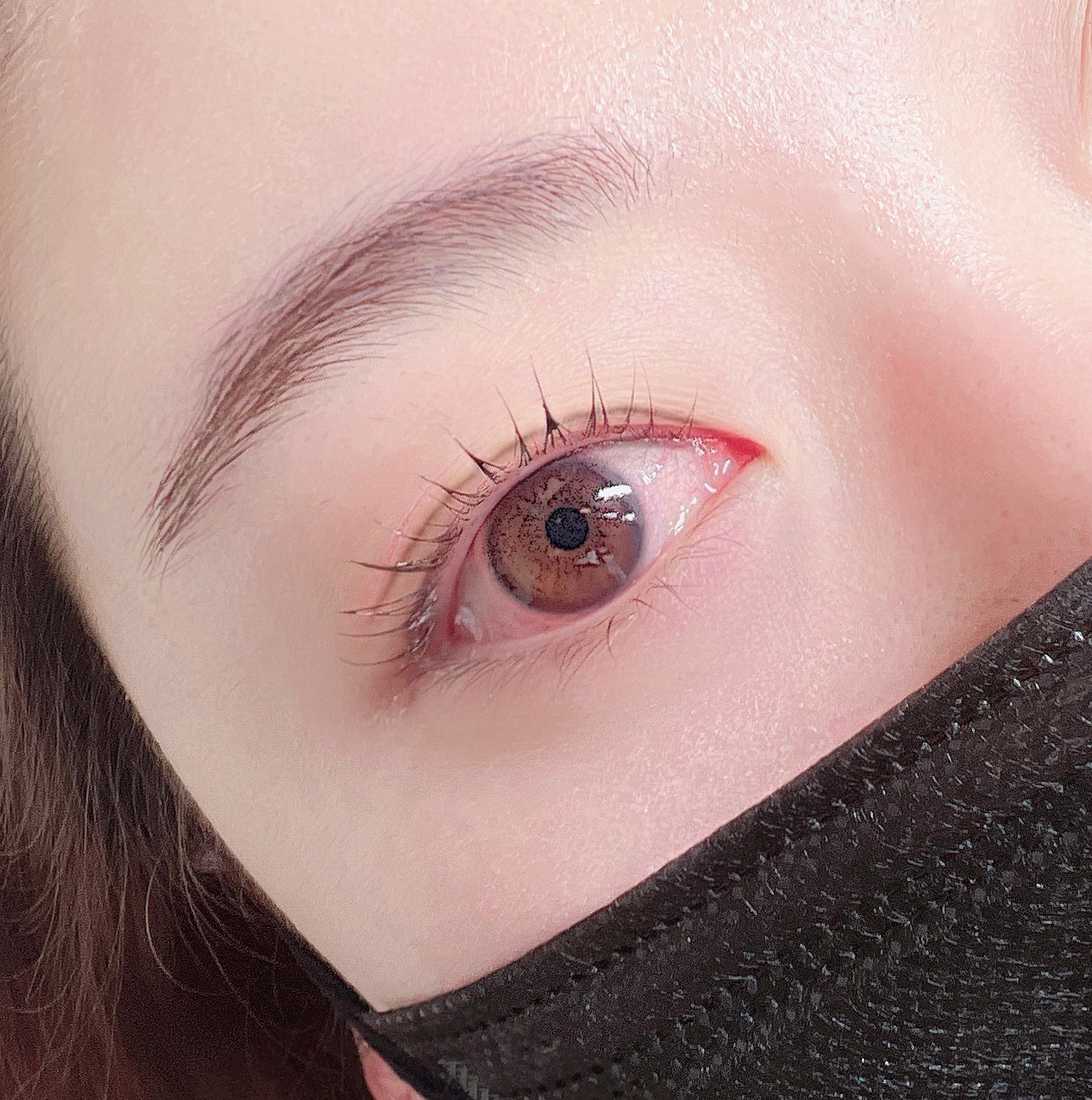 온뷰티샵 눈썹/속눈썹