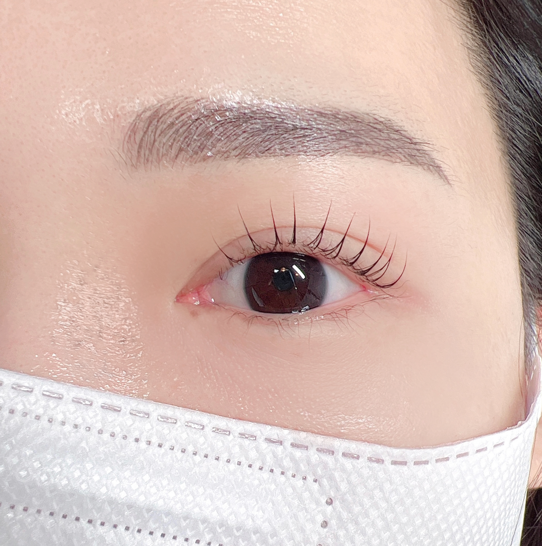 온뷰티샵 눈썹/속눈썹