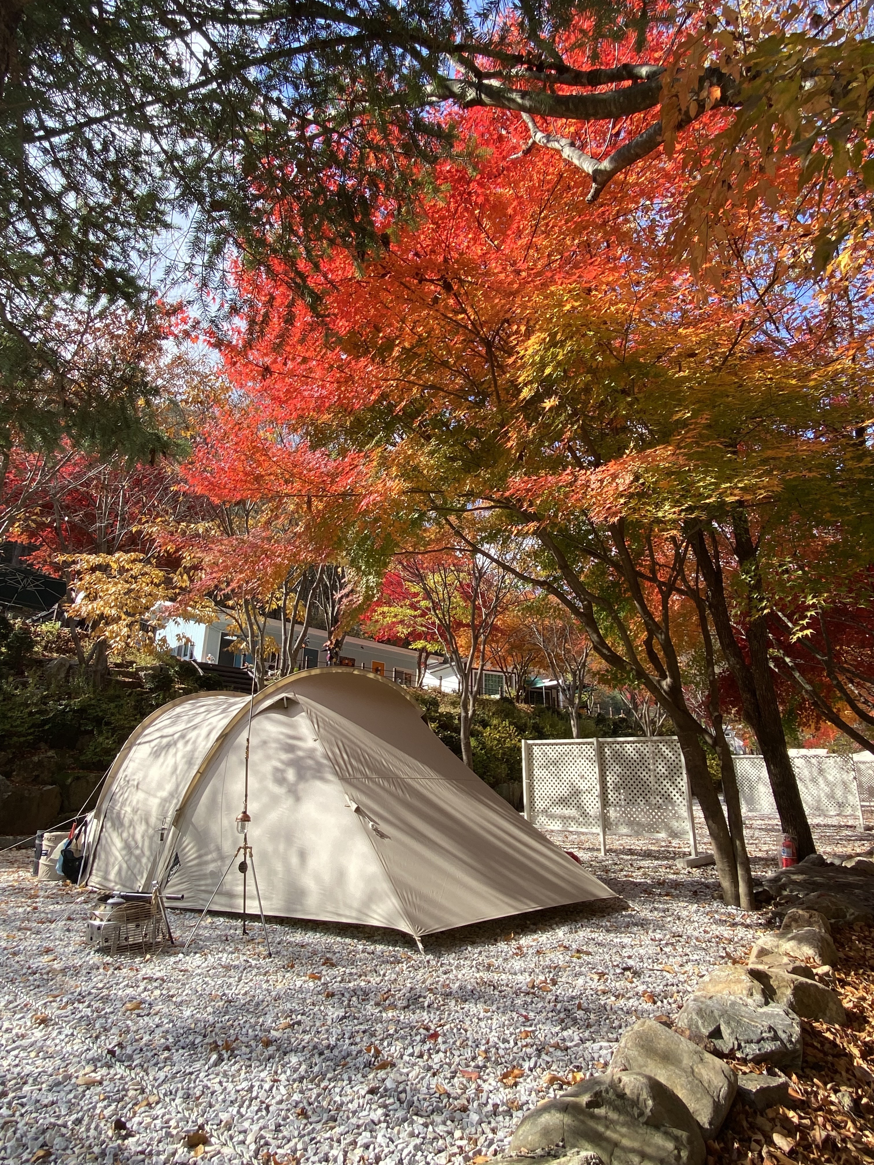 캠핑장 사진