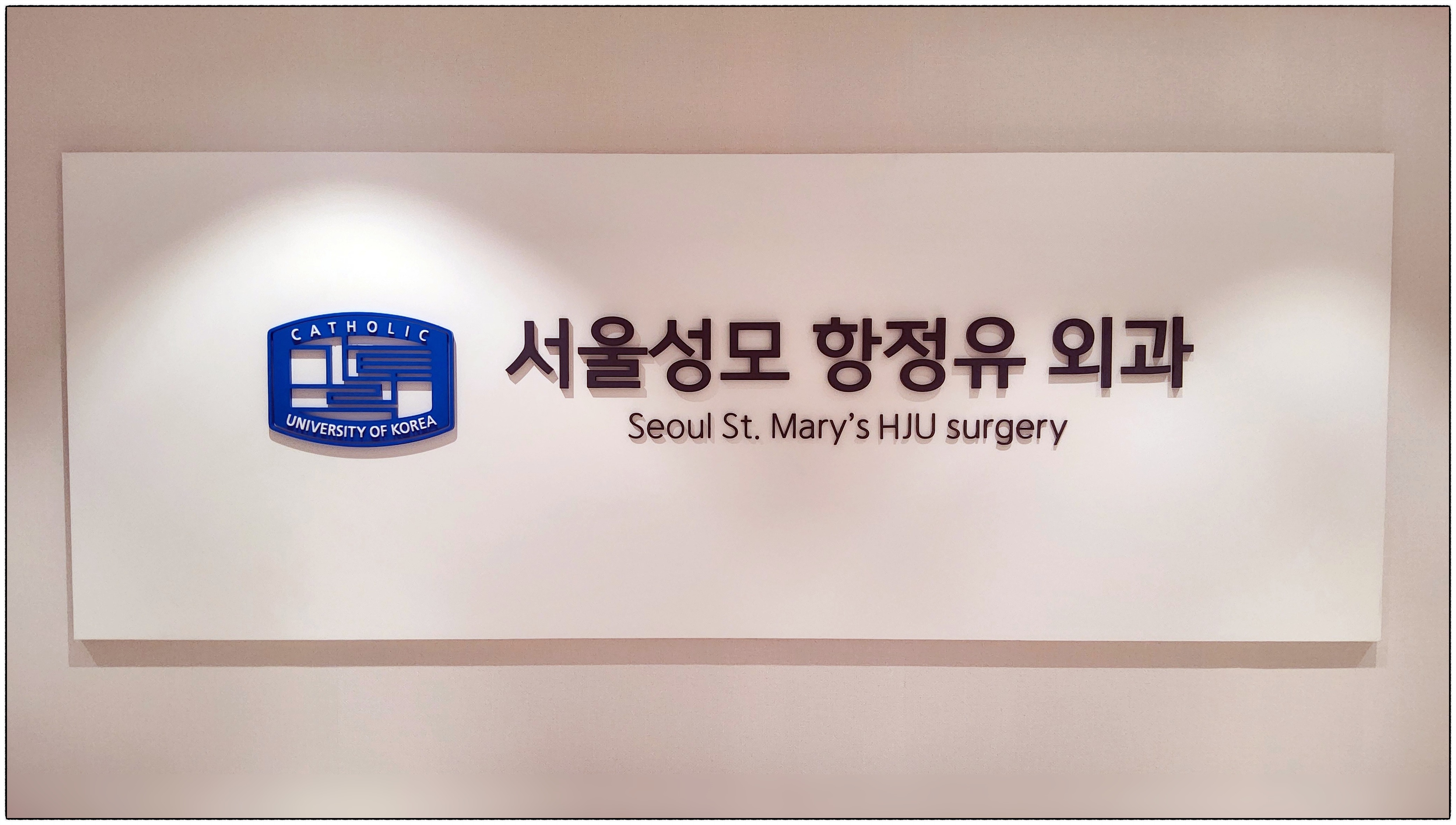 서울 성모 항정유 외과 의원
