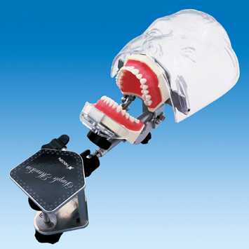 조광덴탈 대표 이미지