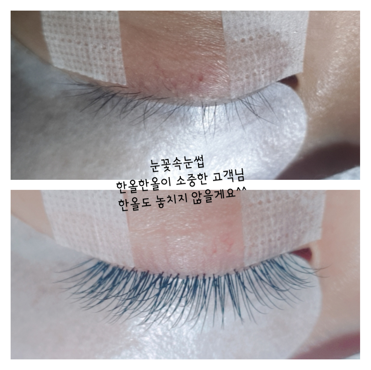 눈꽃 속눈썹
