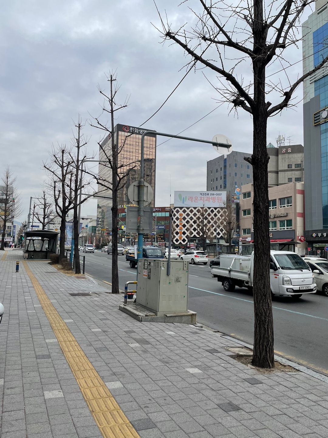 골드문타이 photo 9