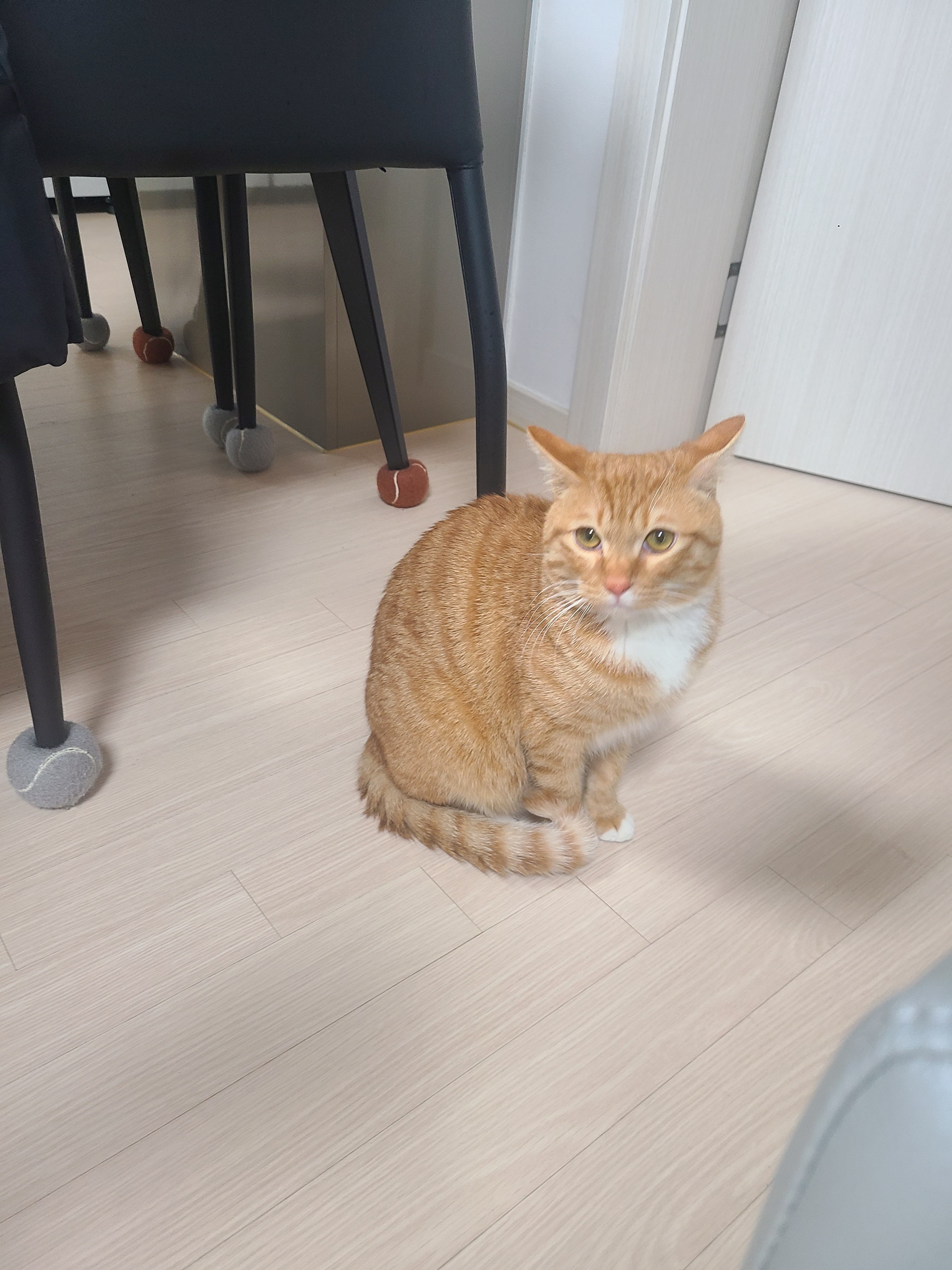 603호 현풍건어물