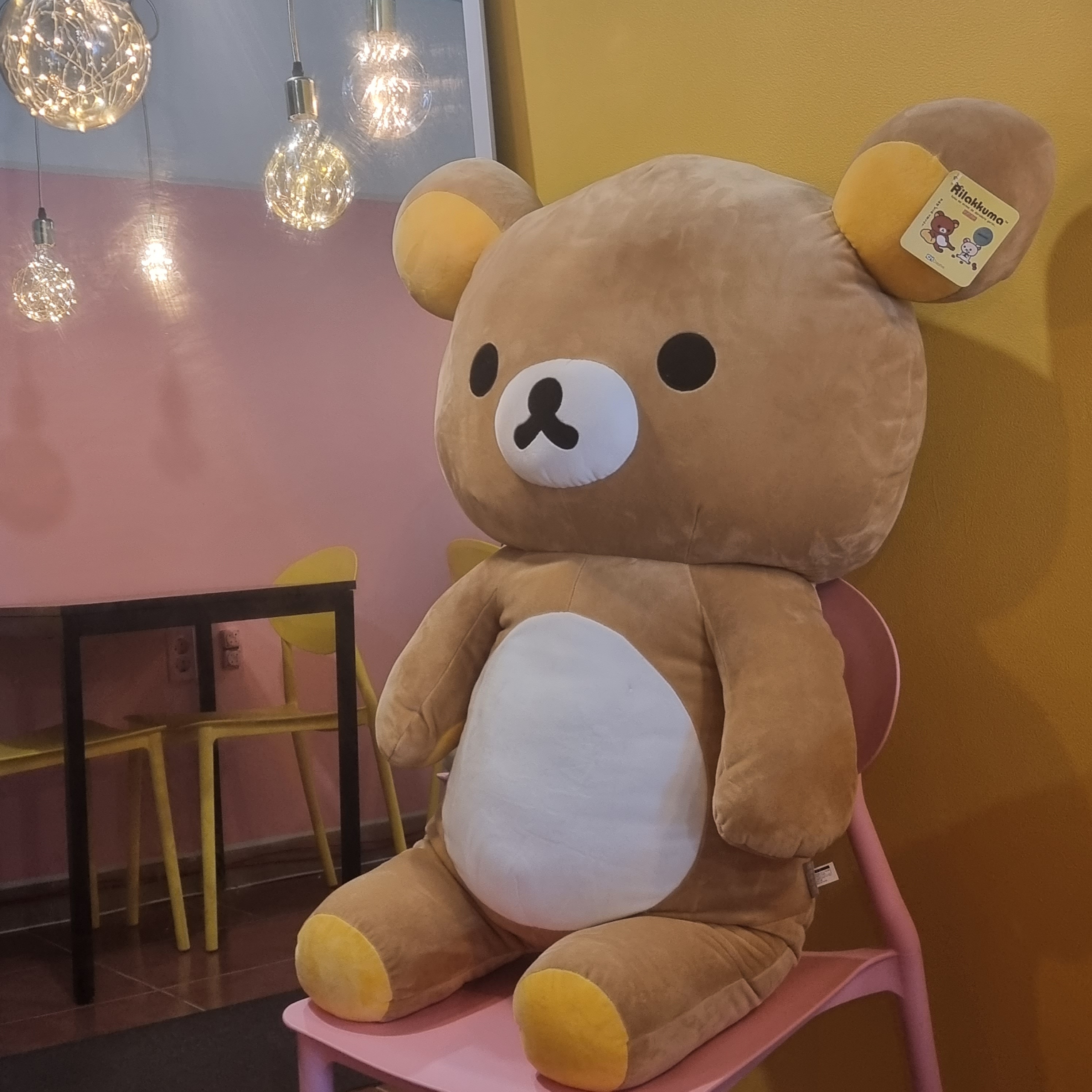 하늬토끼 월곡점