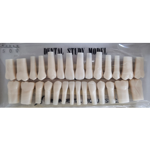 조광덴탈 대표 이미지