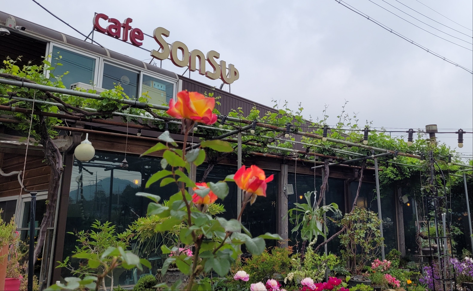 MAd.ma | 경기 안성시에서 단팥죽맛집 소개합니다 단팥죽전문점 방문해 보세요 손수 카페