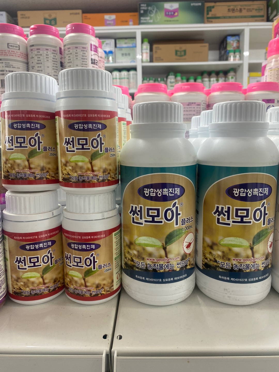 서진종합식물약국