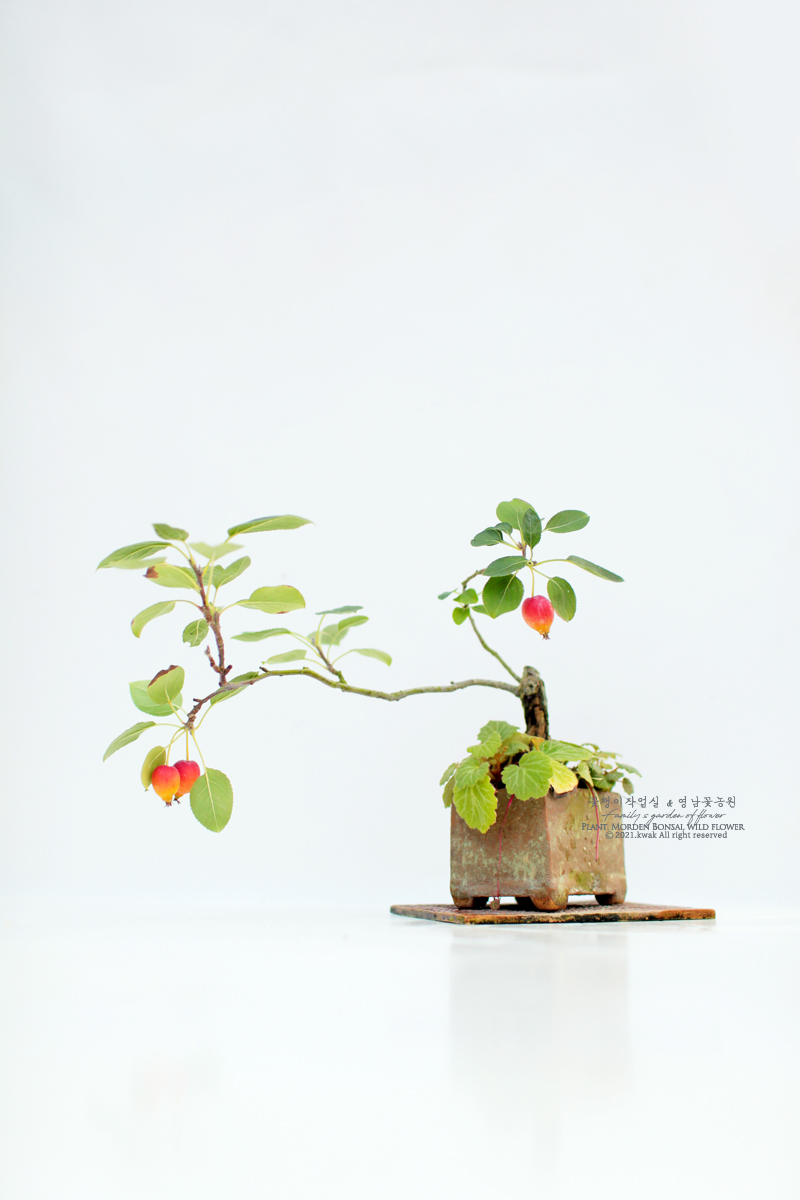 영남꽃농원