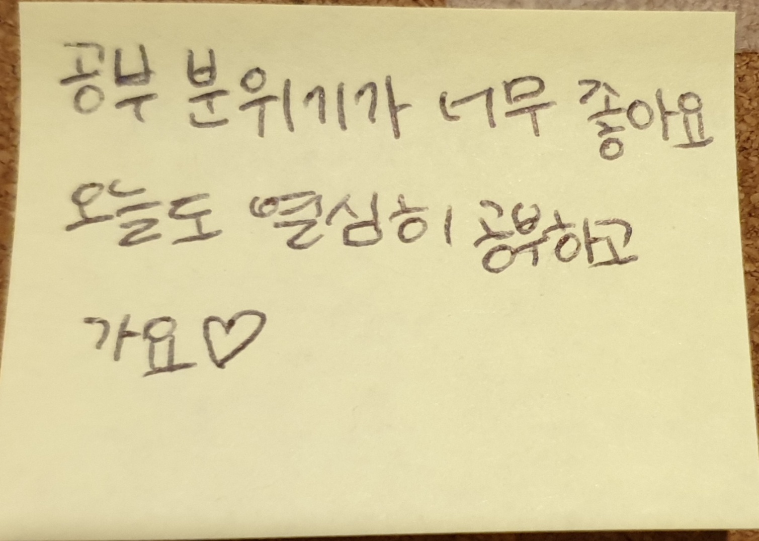 업체사진
