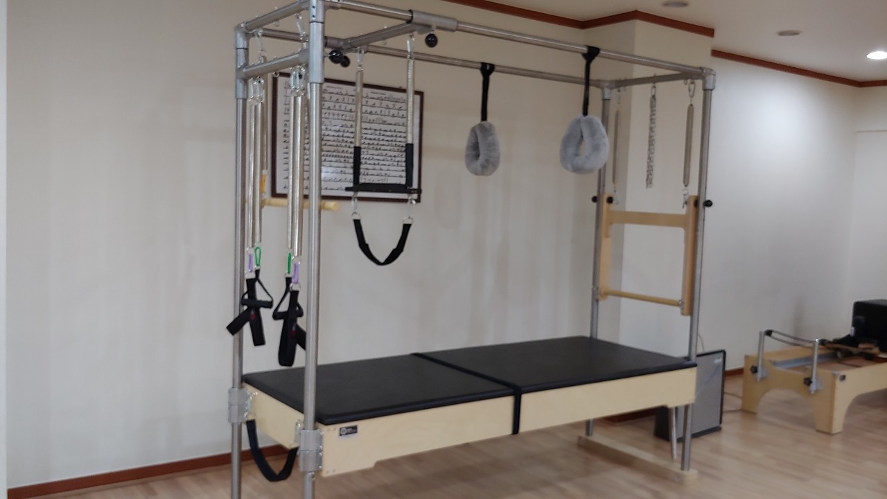 진요가 대표 이미지