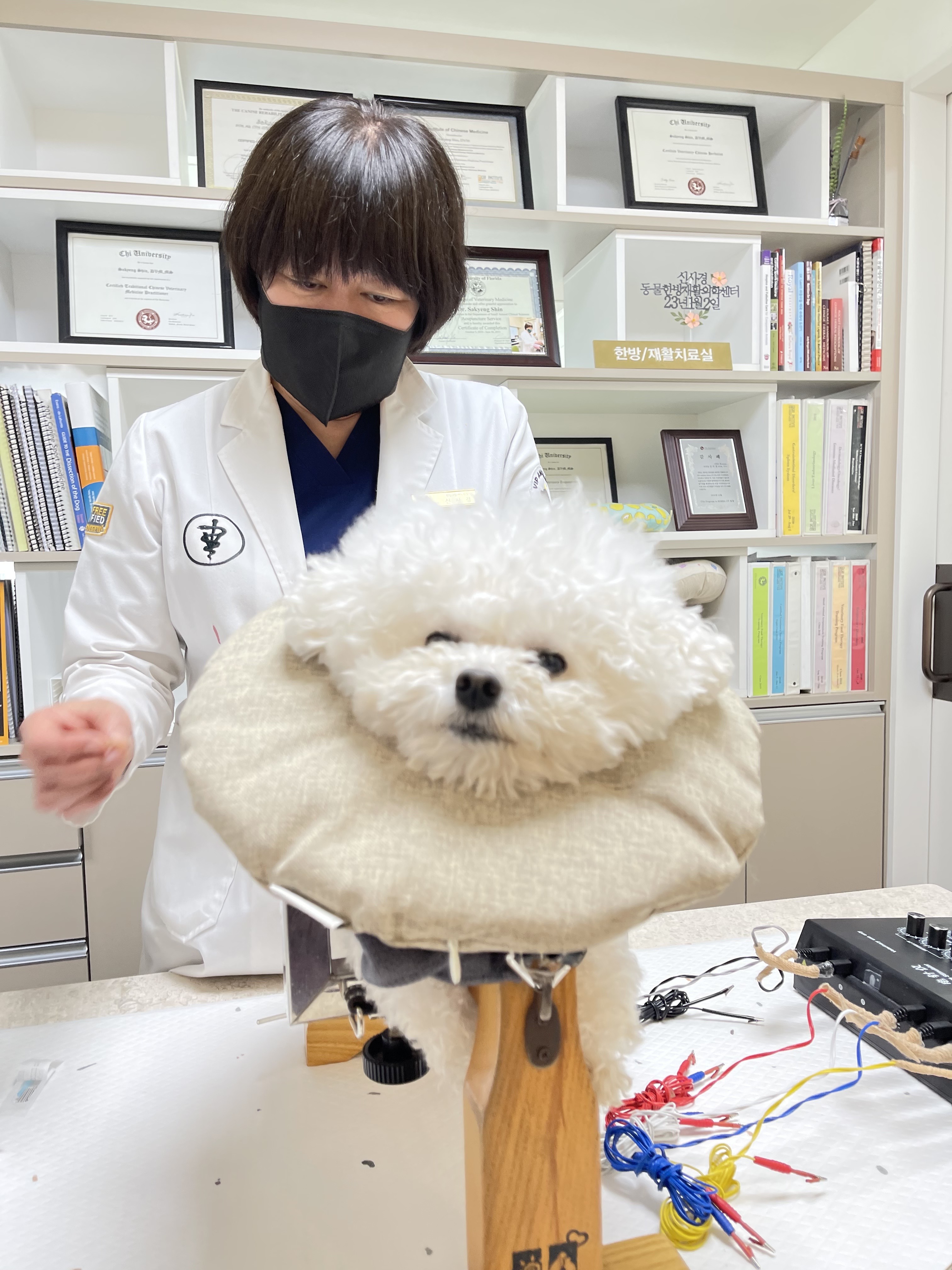 VIP동물한방재활의학센터 대표 이미지