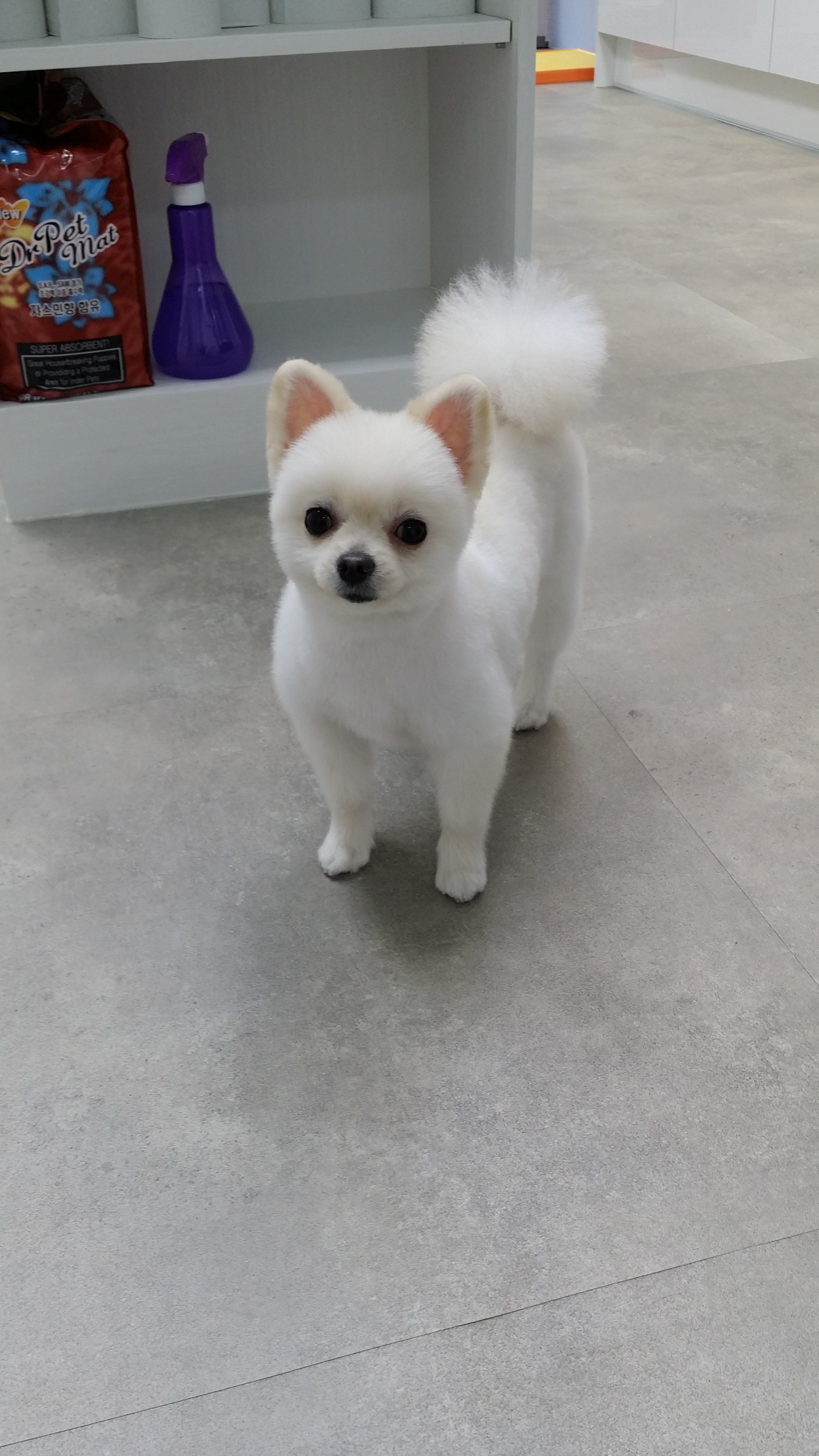 플란다스 대표 이미지