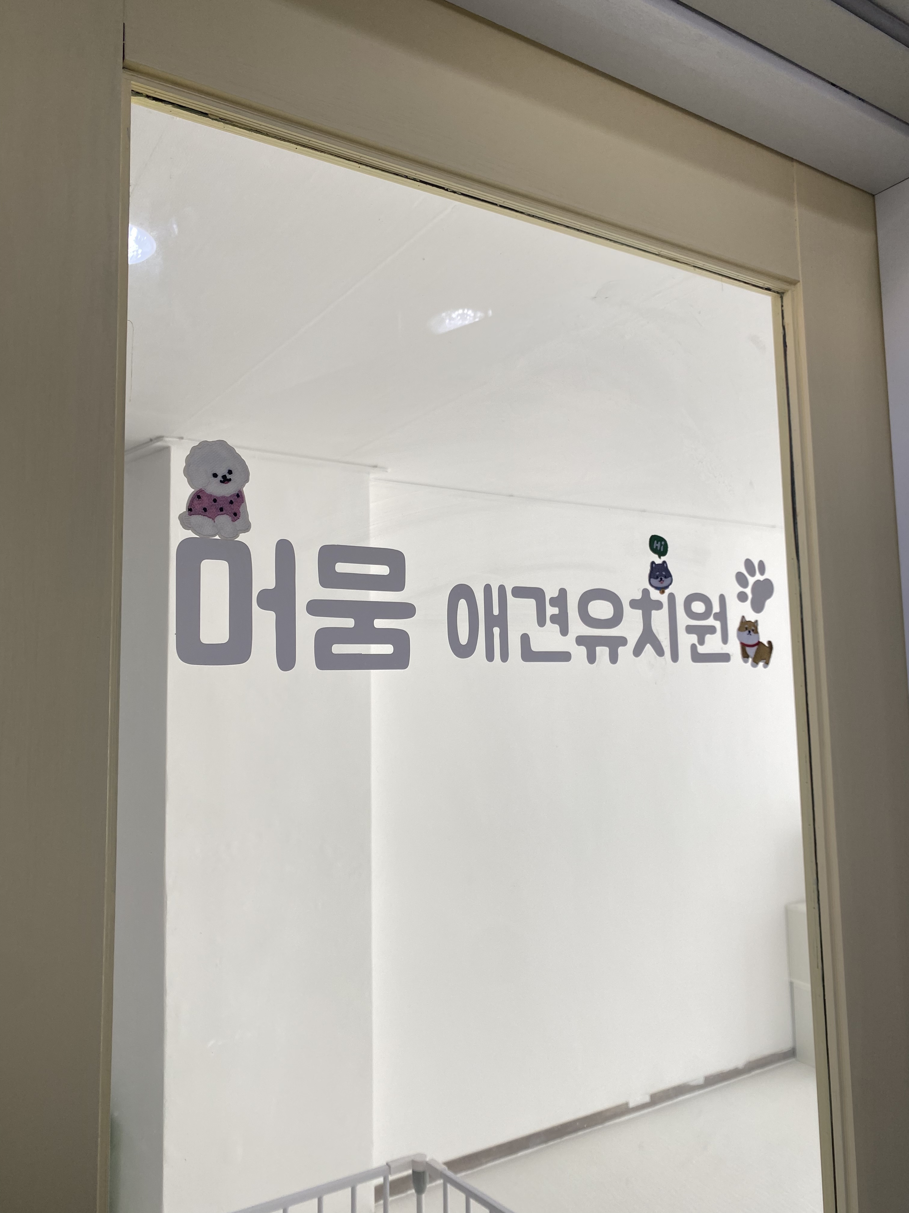 머뭄애견유치원 번동점 대표 이미지