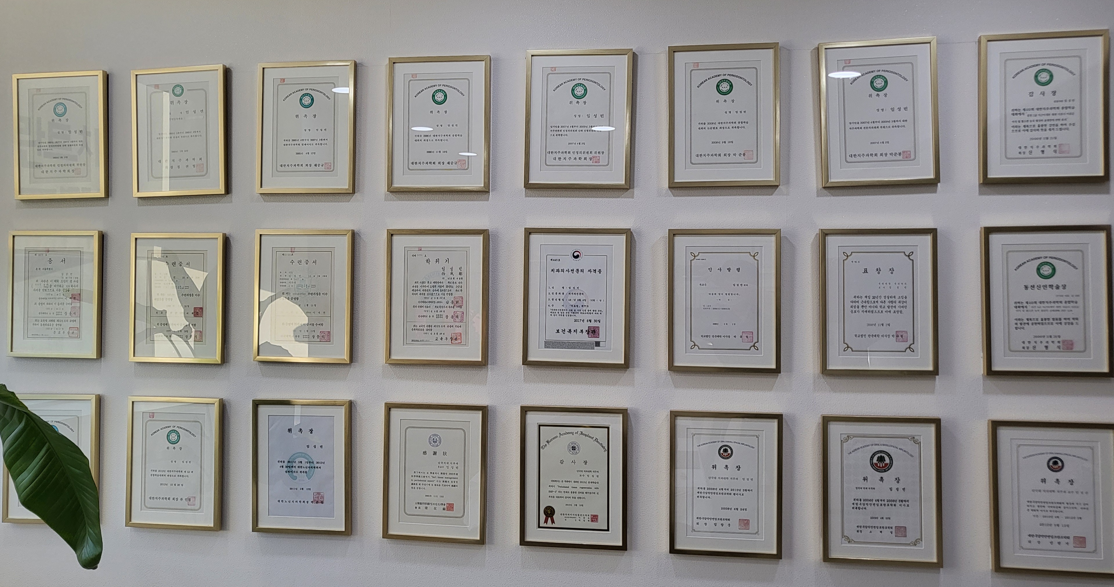 미인플란트치과의원 대표 이미지