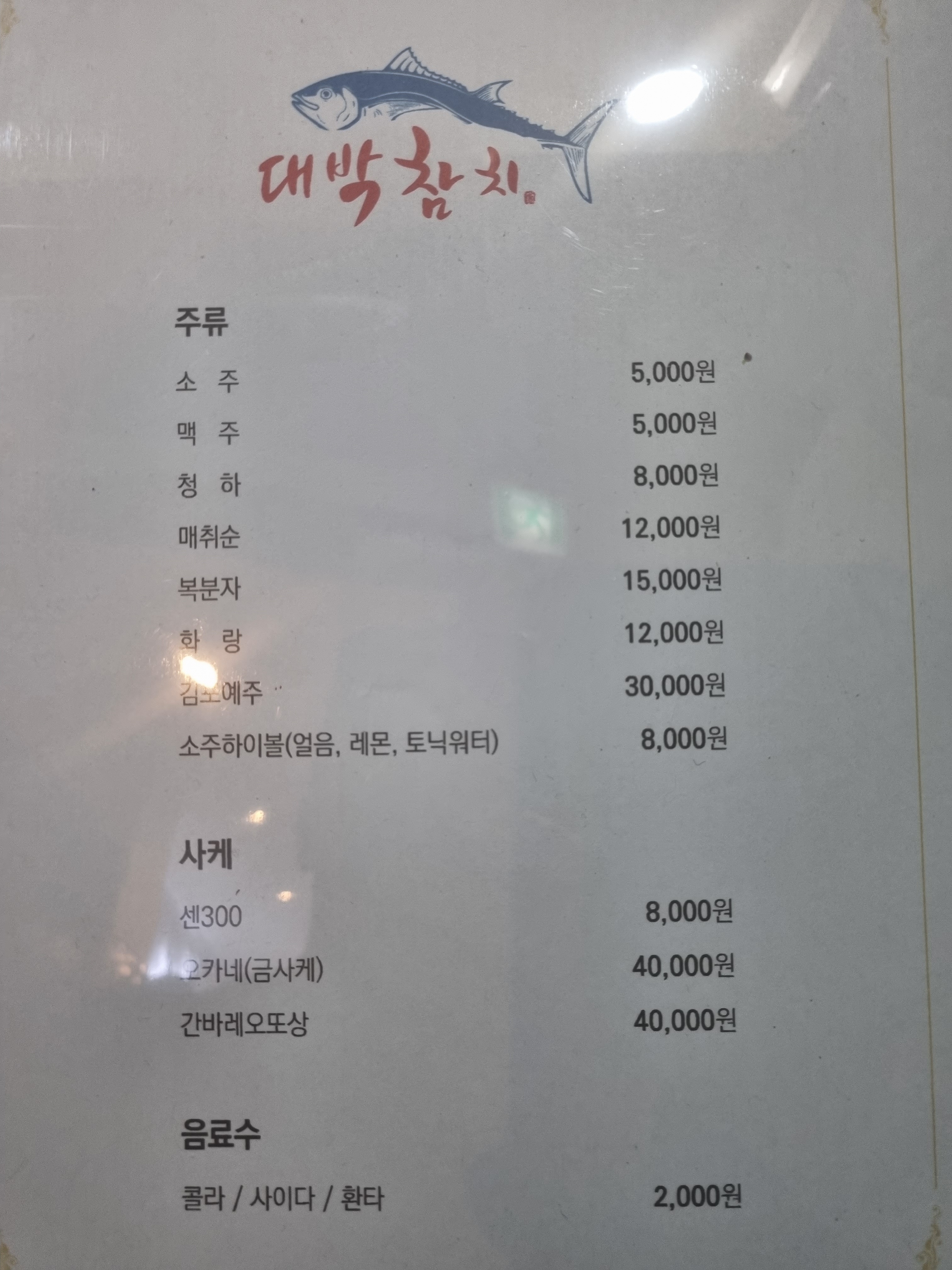 대박참치