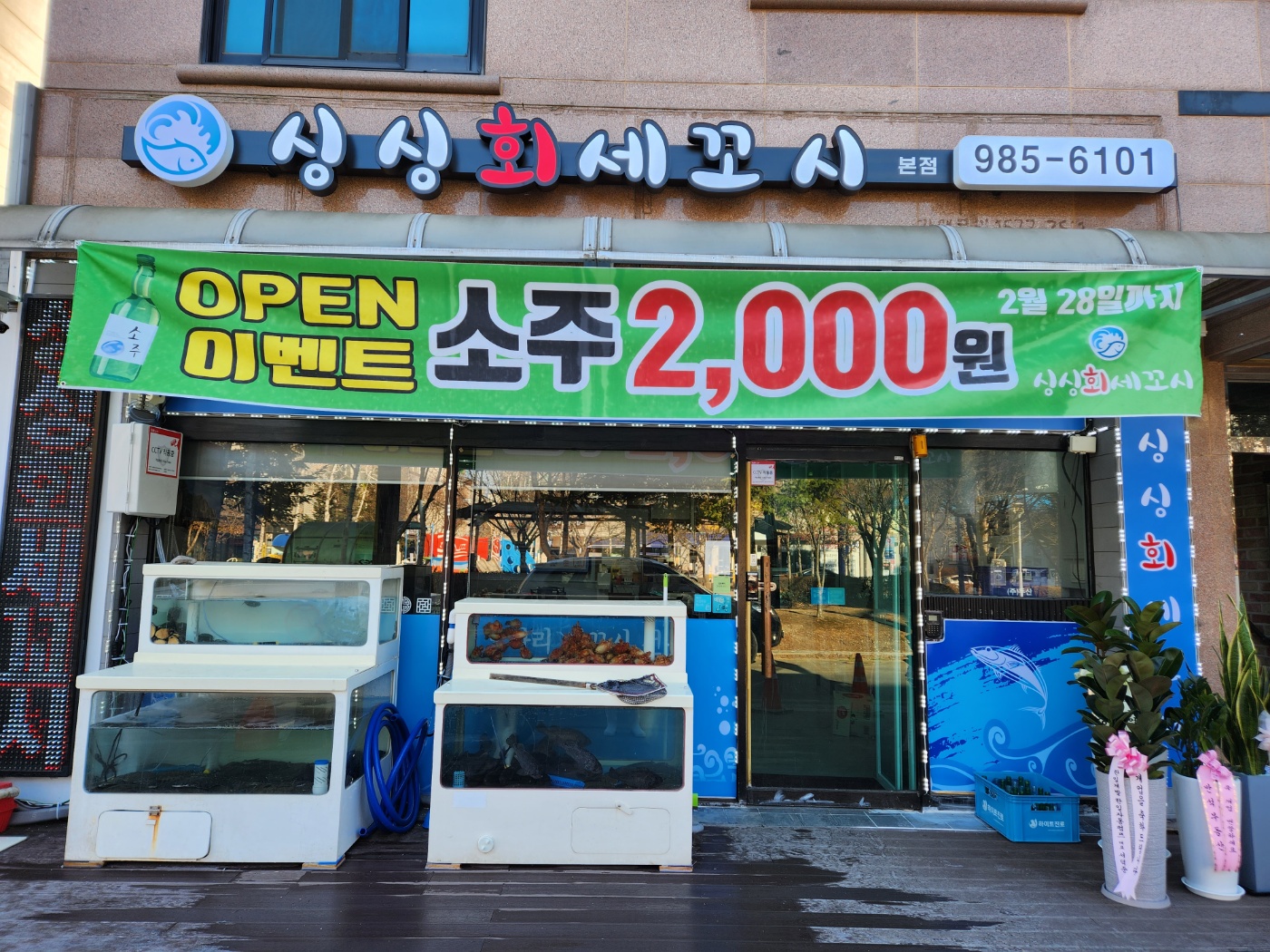 싱싱회세꼬시
