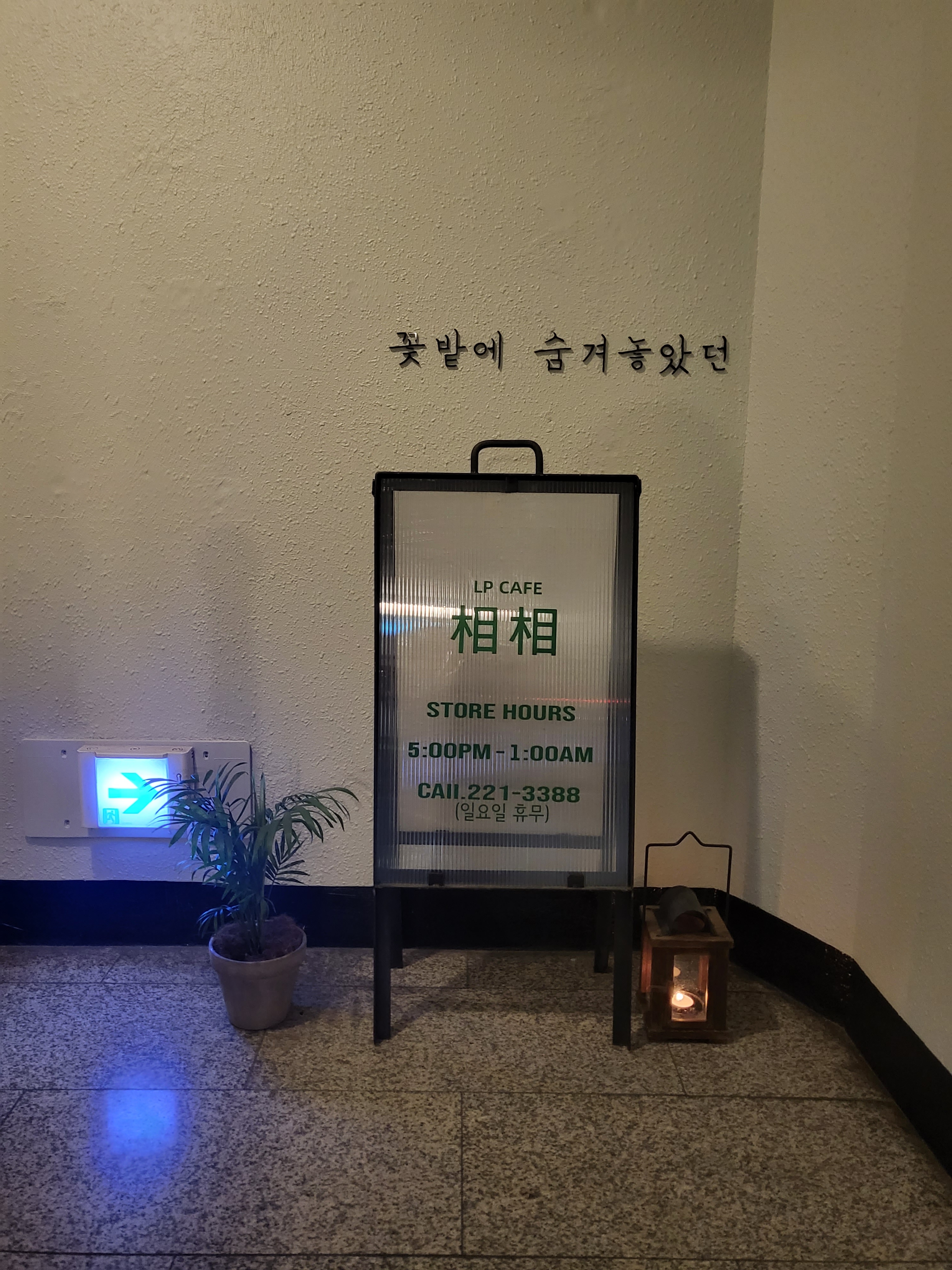 LP카페 상상