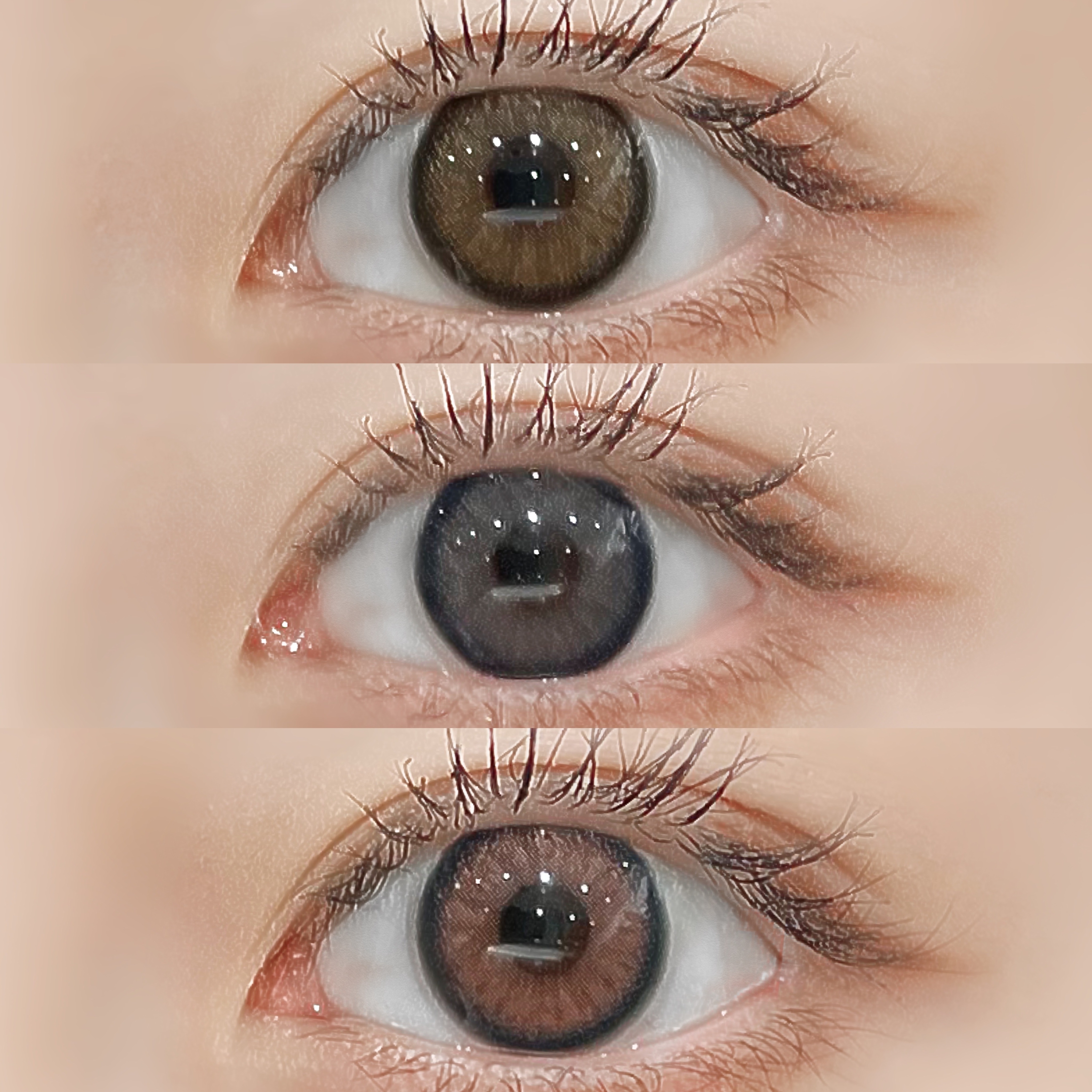 라라렌즈 대표 이미지