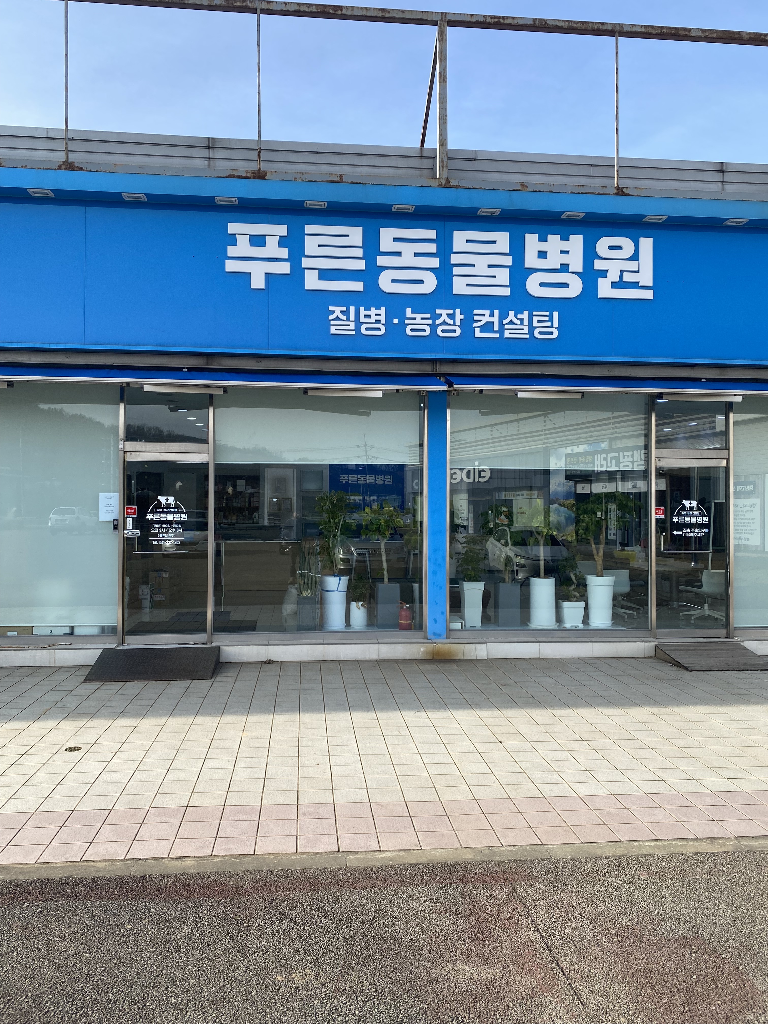 푸른동물병원