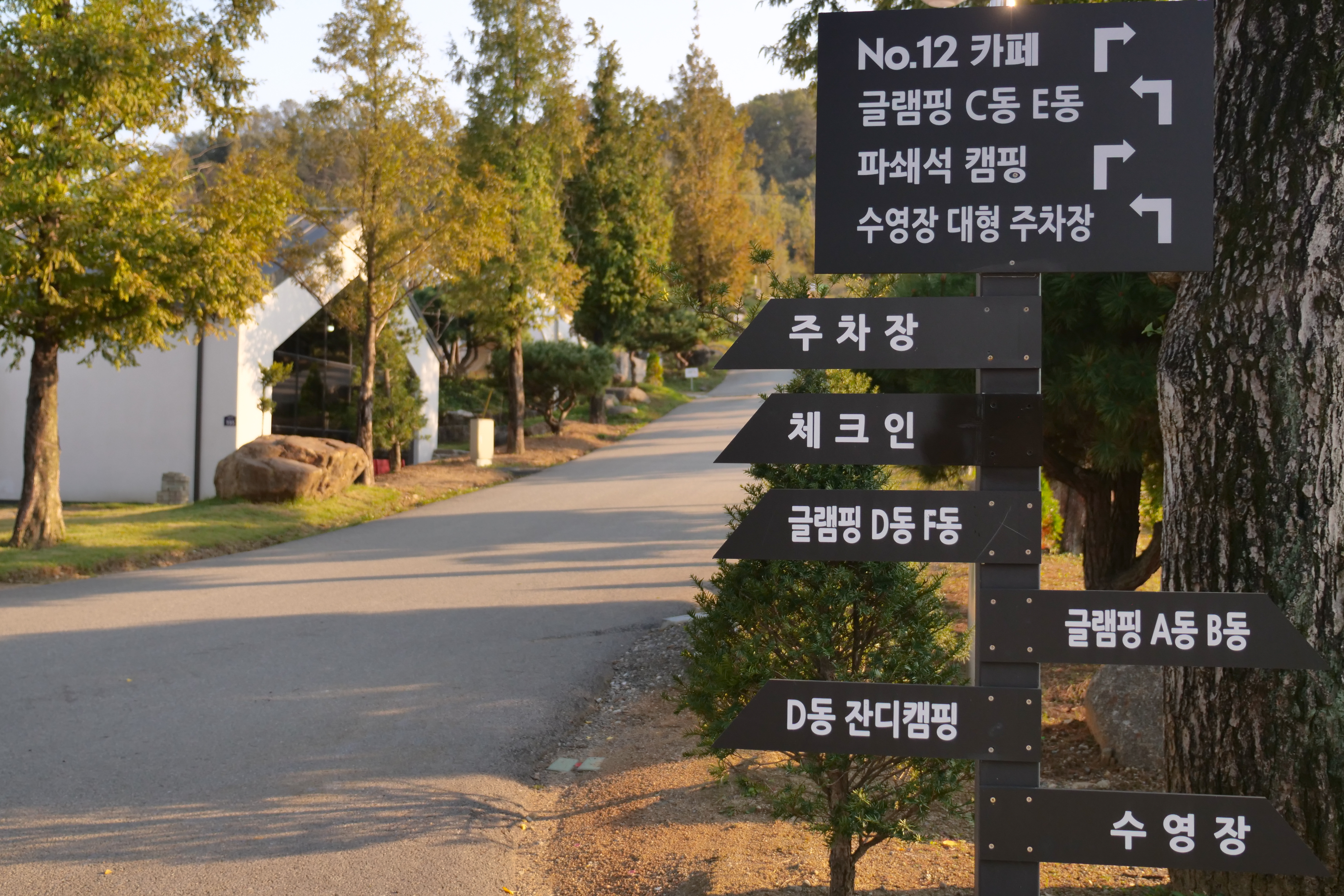 다온숲