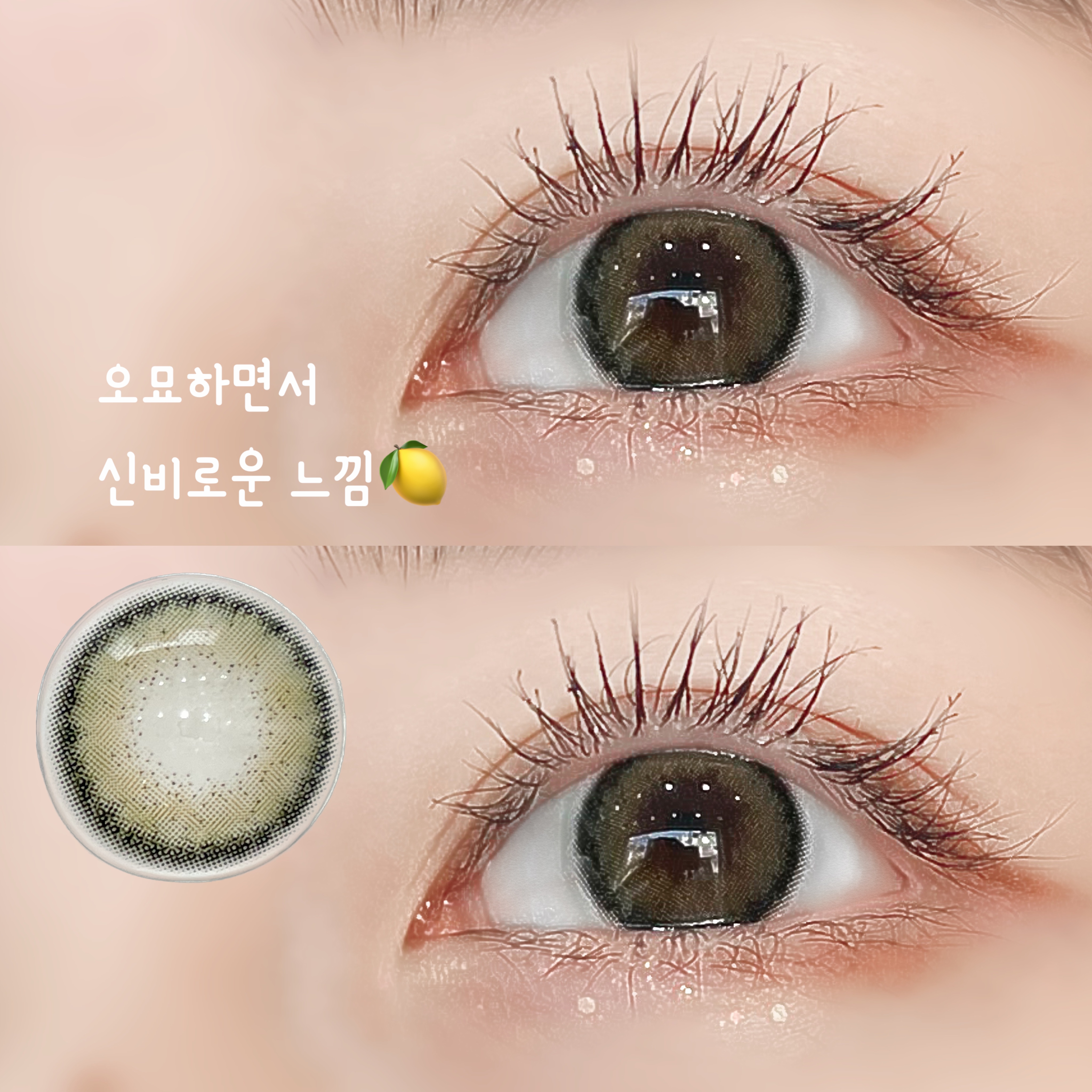 라라렌즈 대표 이미지