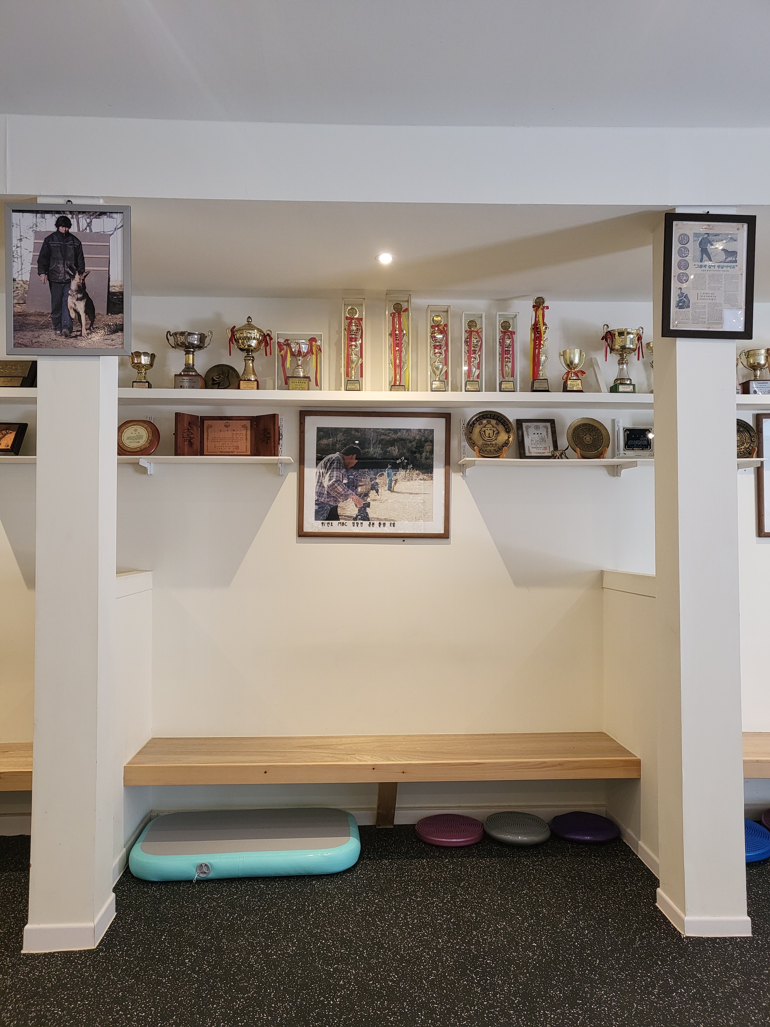 개똑독 대표 이미지