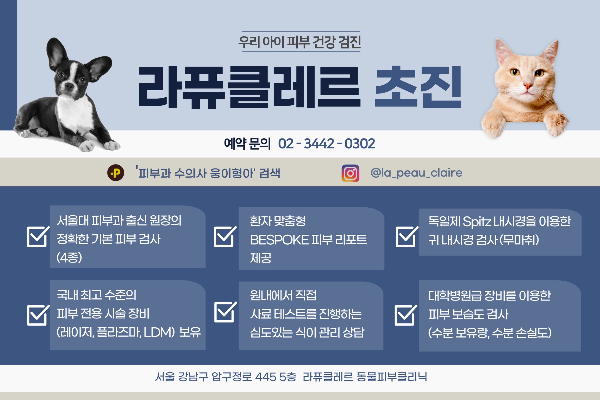 라퓨클레르 대표 이미지