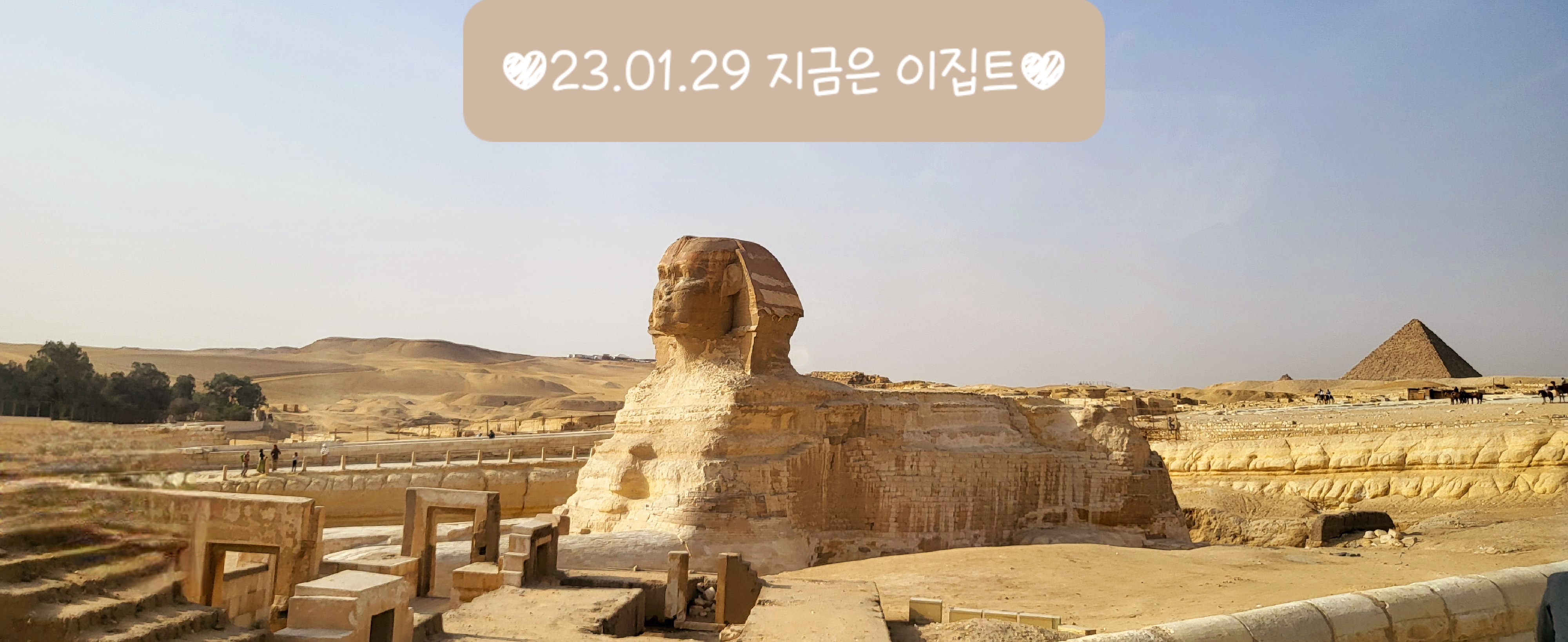 울산세일여행사