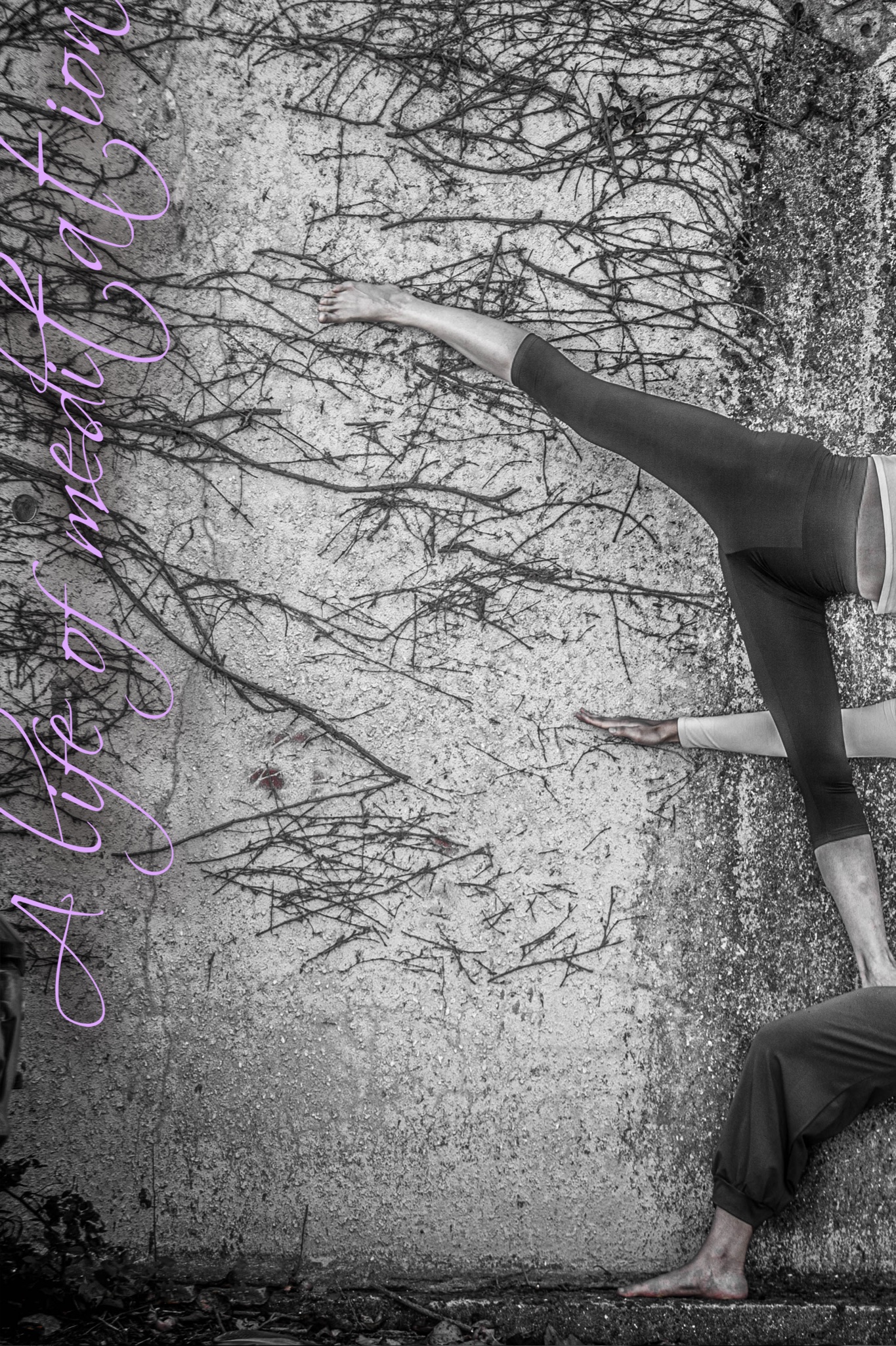 제주요가 느림원 대표 이미지