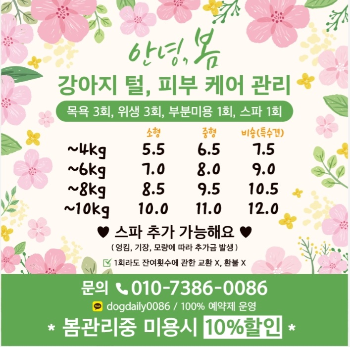 도그데일리