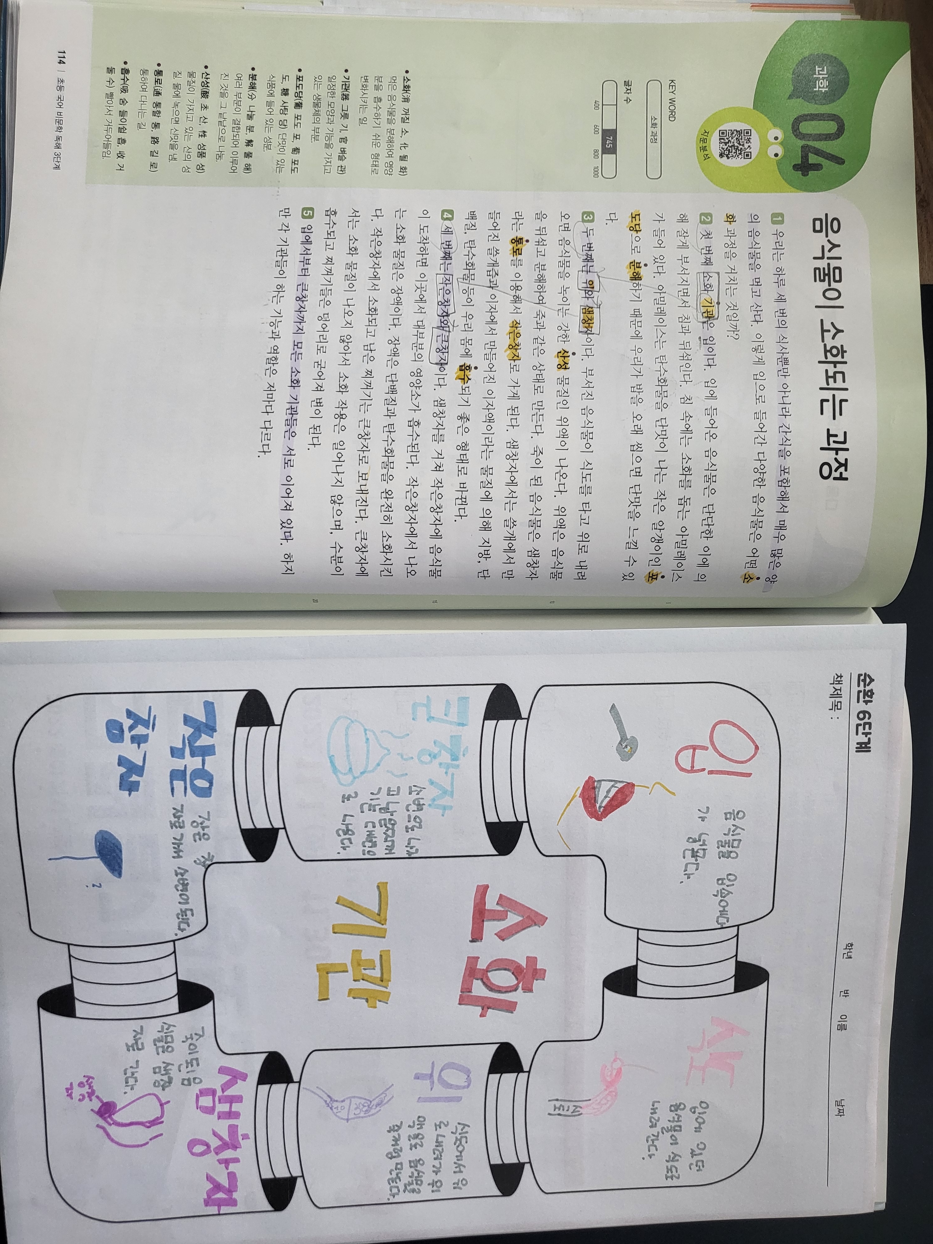 리드인 이지국어논술점