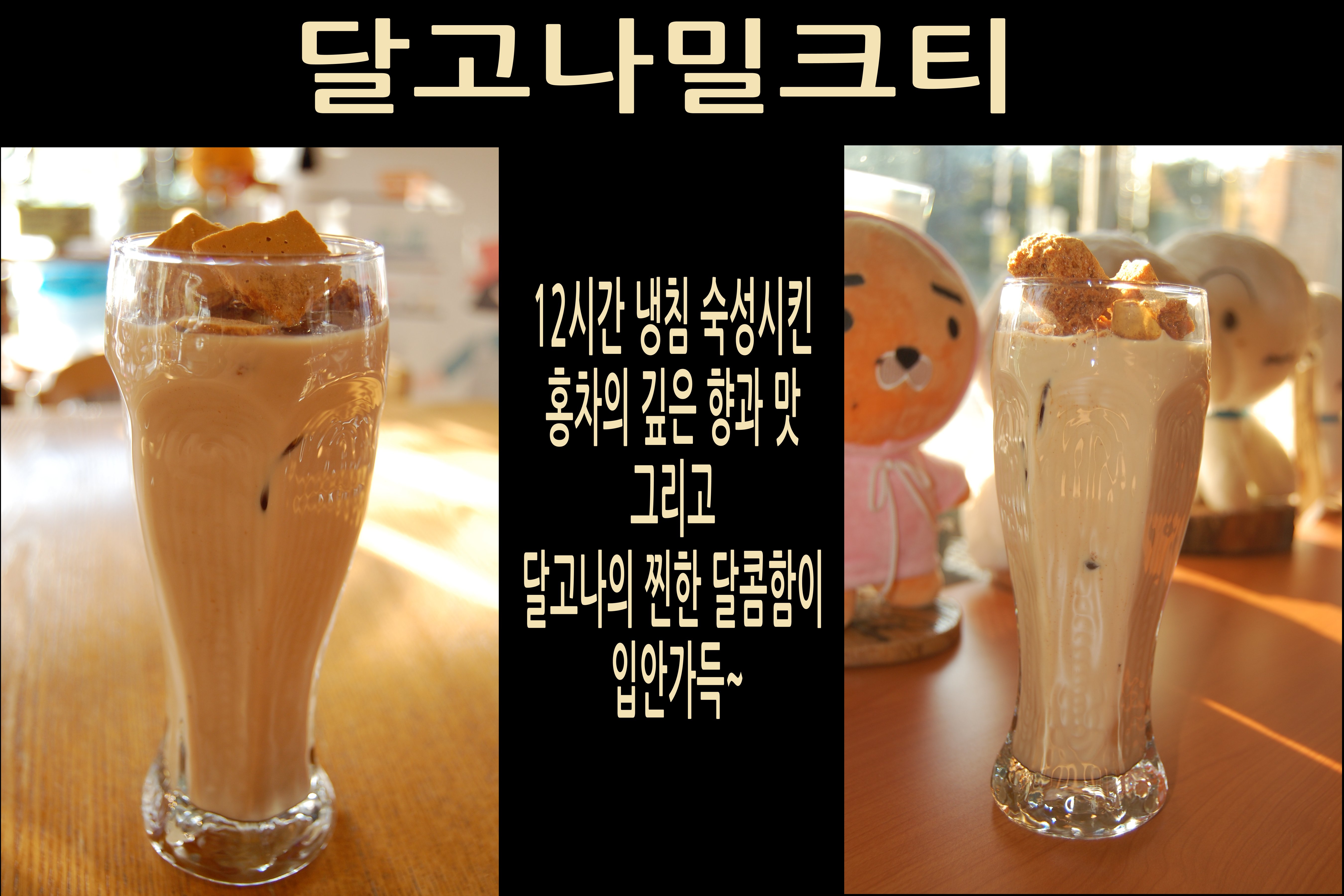 카페1퍼센트 반려동물 동반 카페