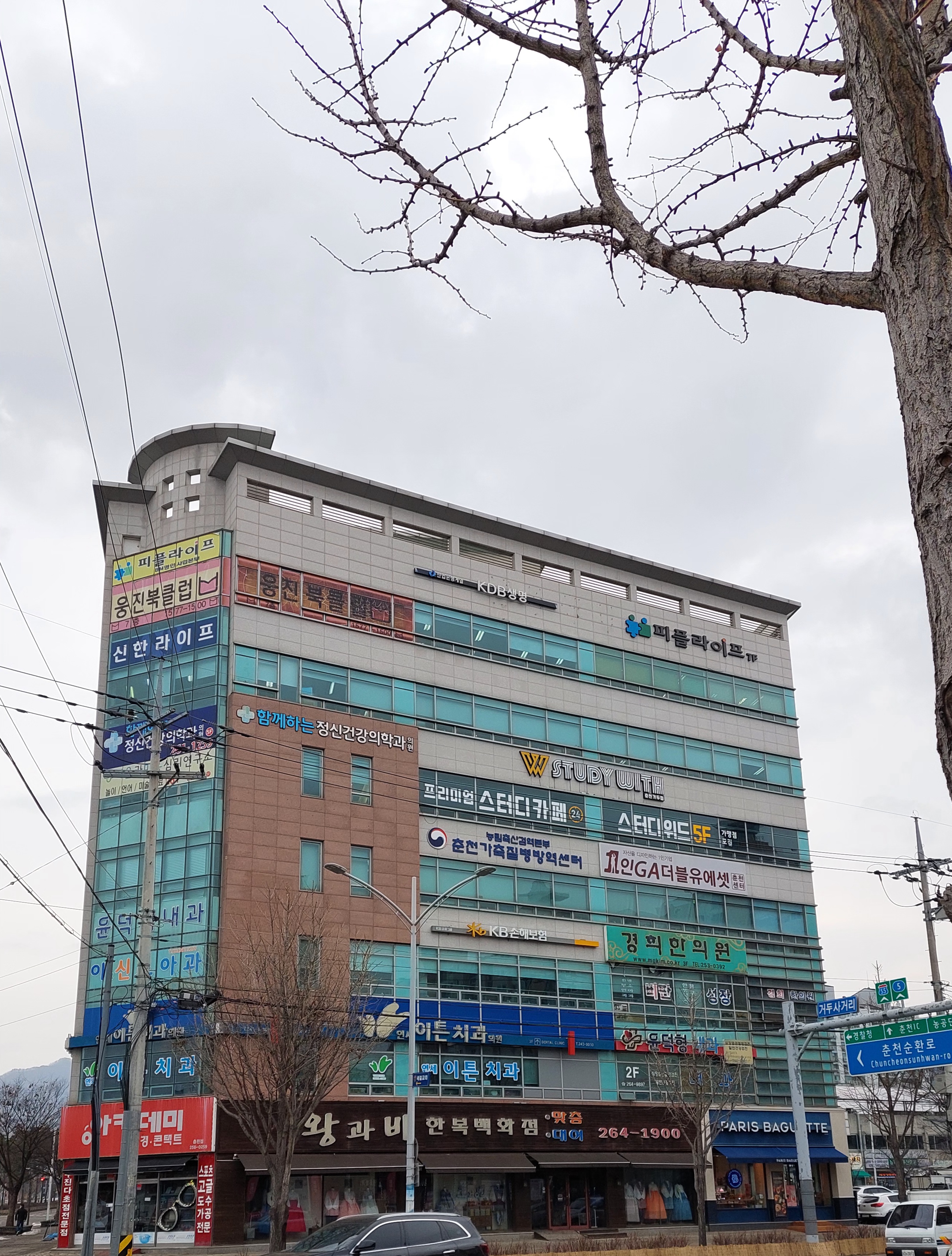 KB손해보험 강원F지점