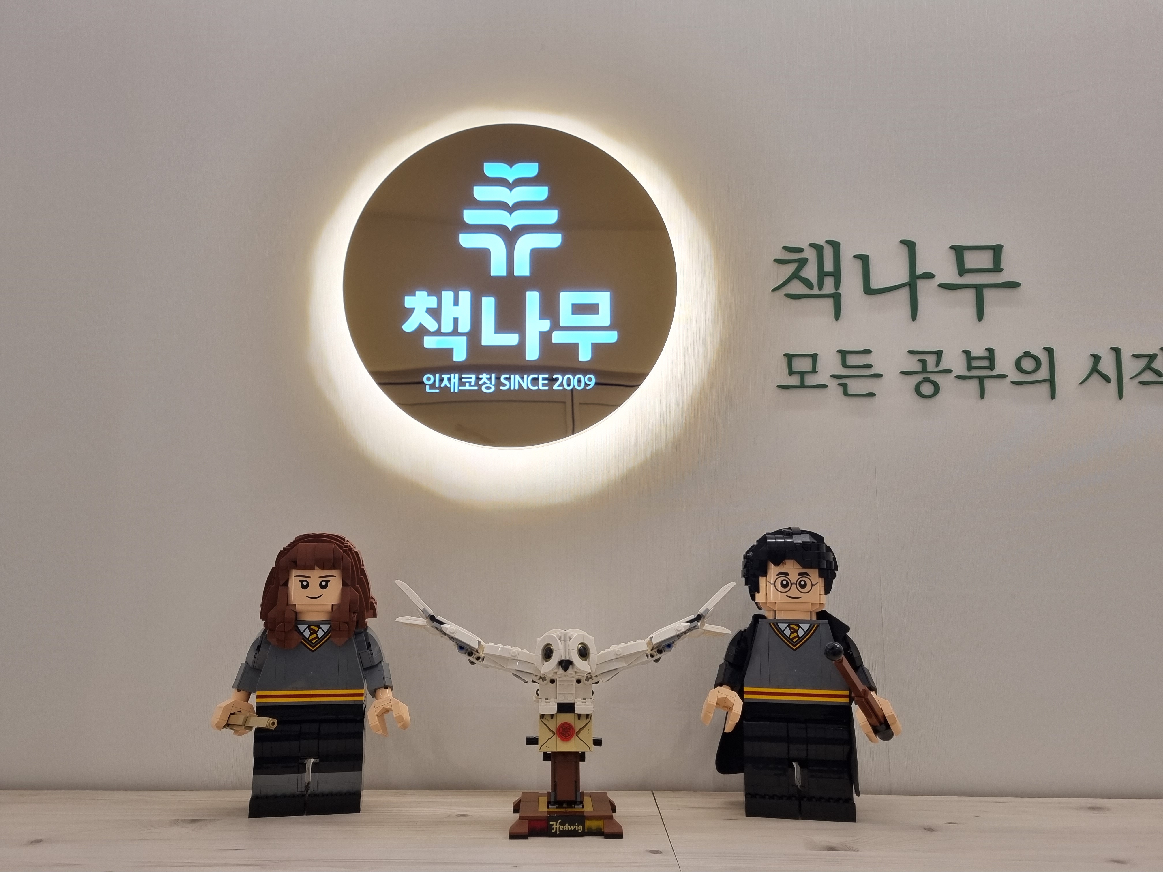 책나무원동점 원동독서학원