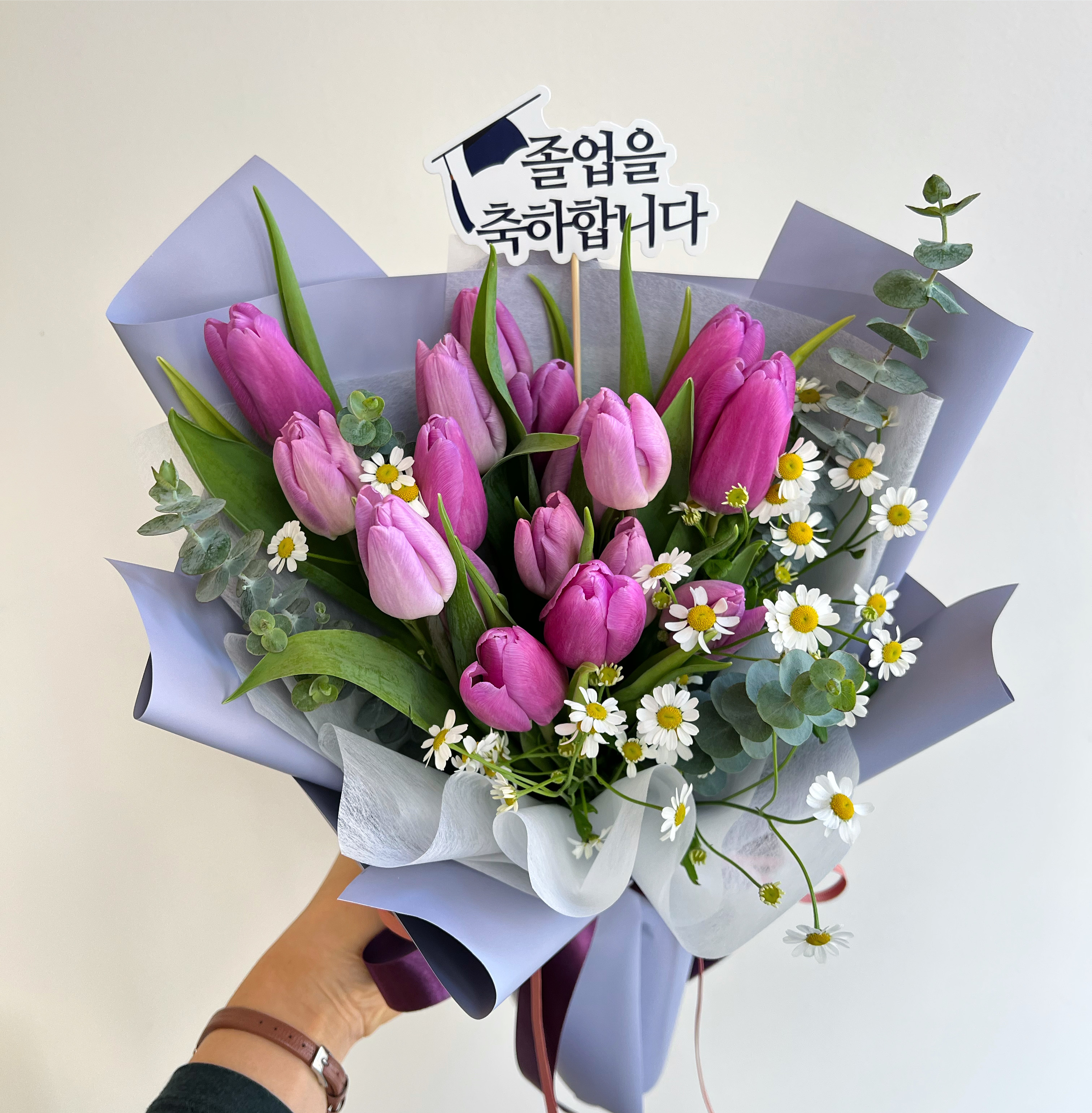 라엘플레르