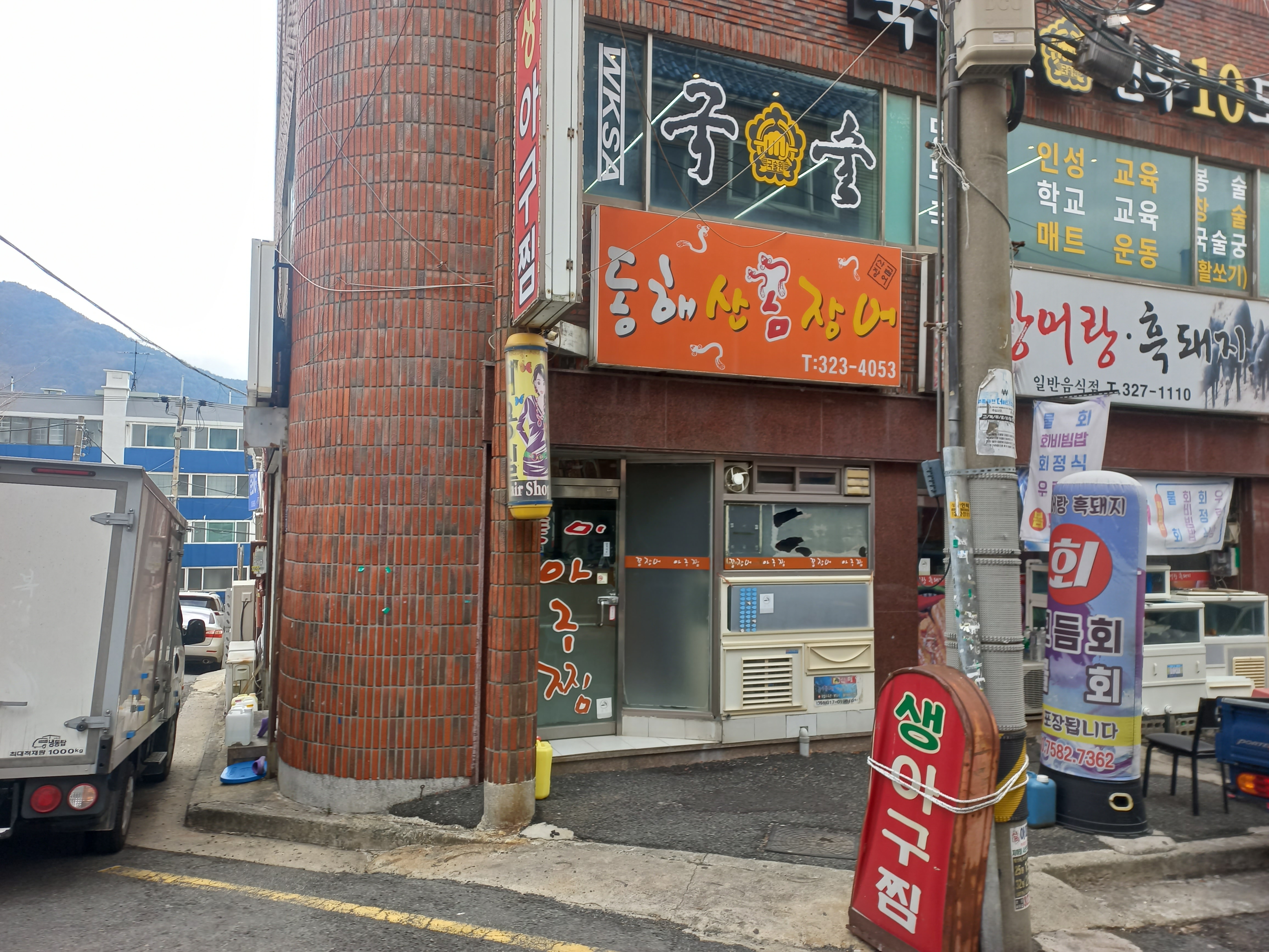 동해곰장어