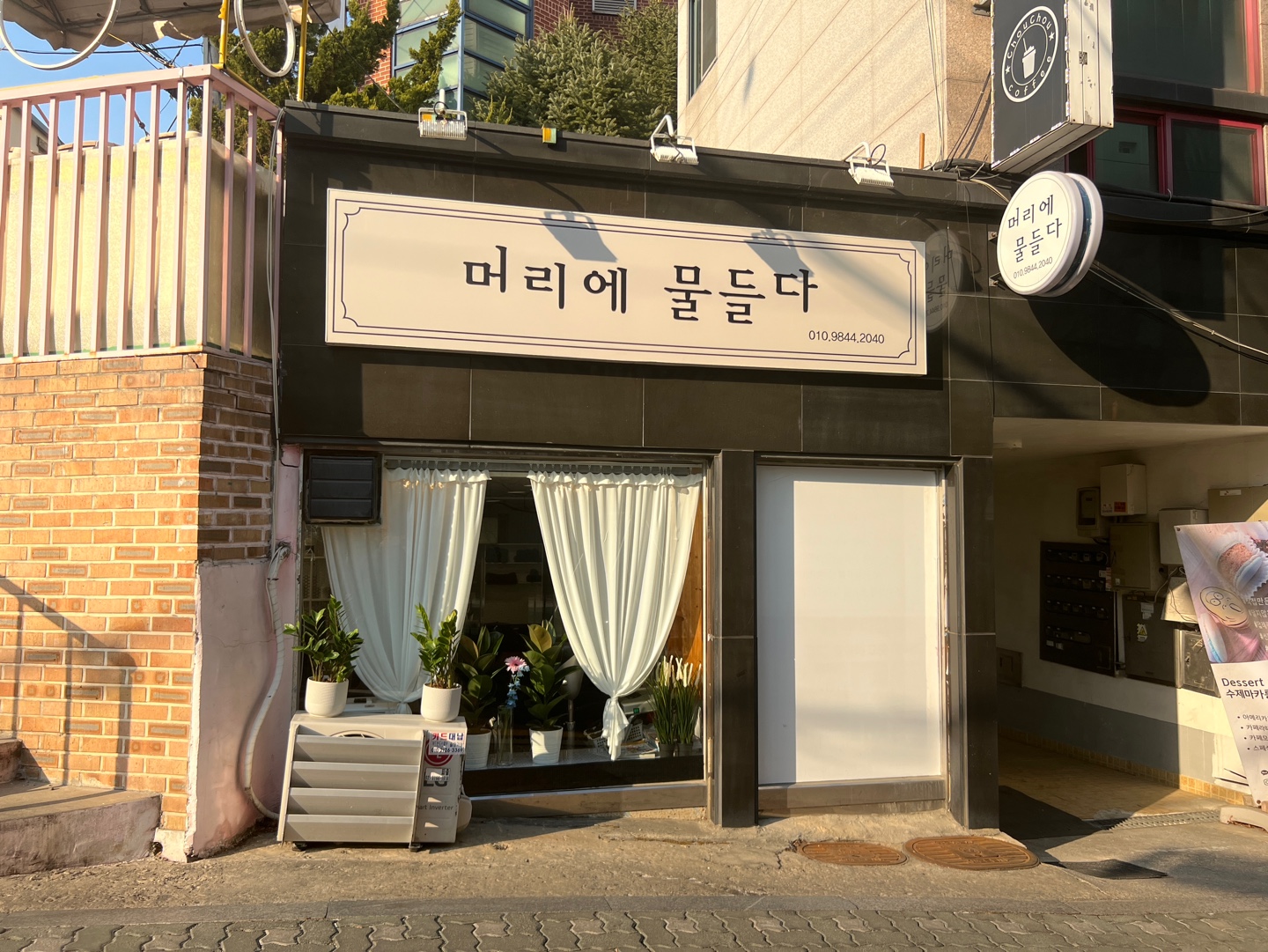 머리에 물들다