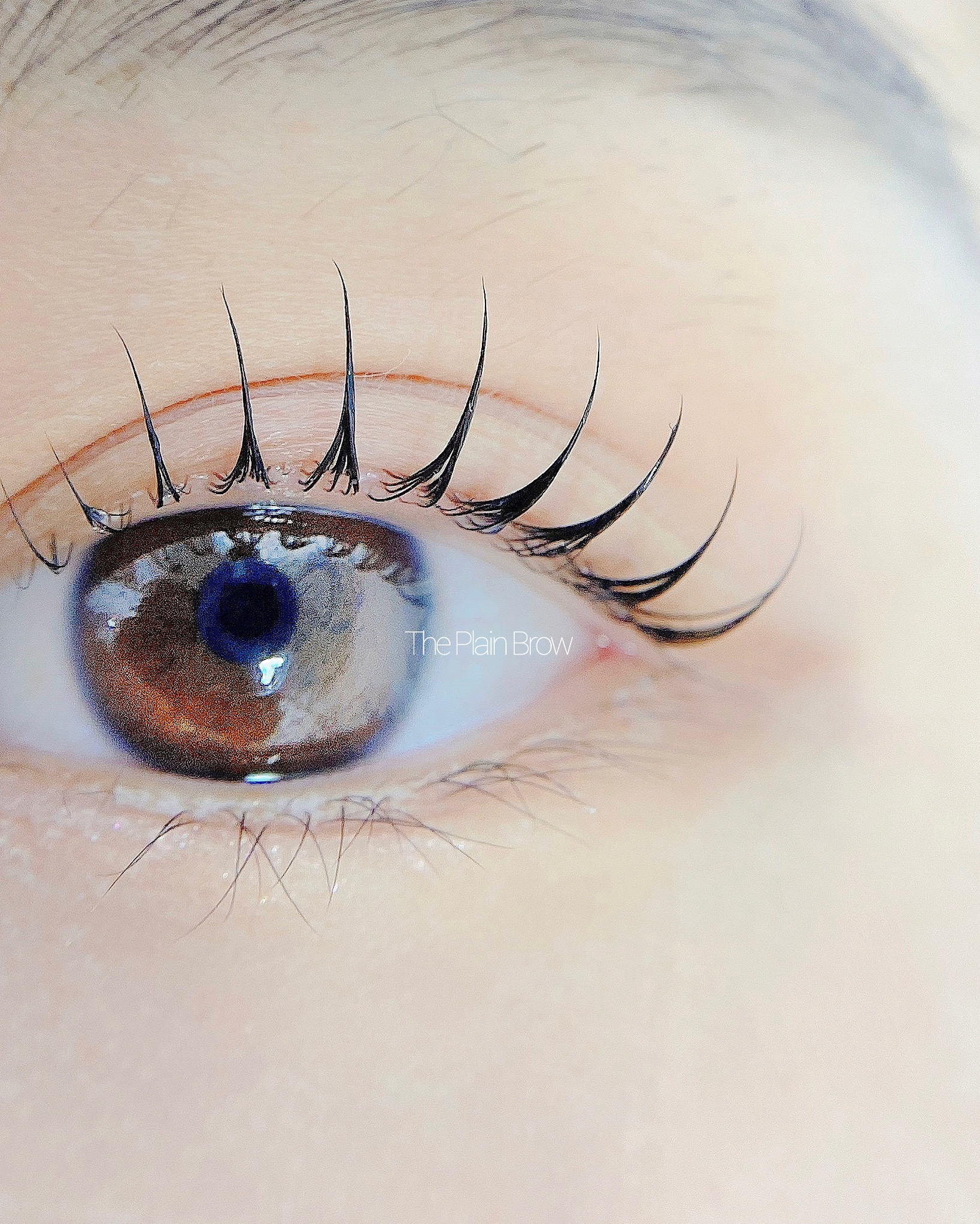 플레인브로우 대표 이미지