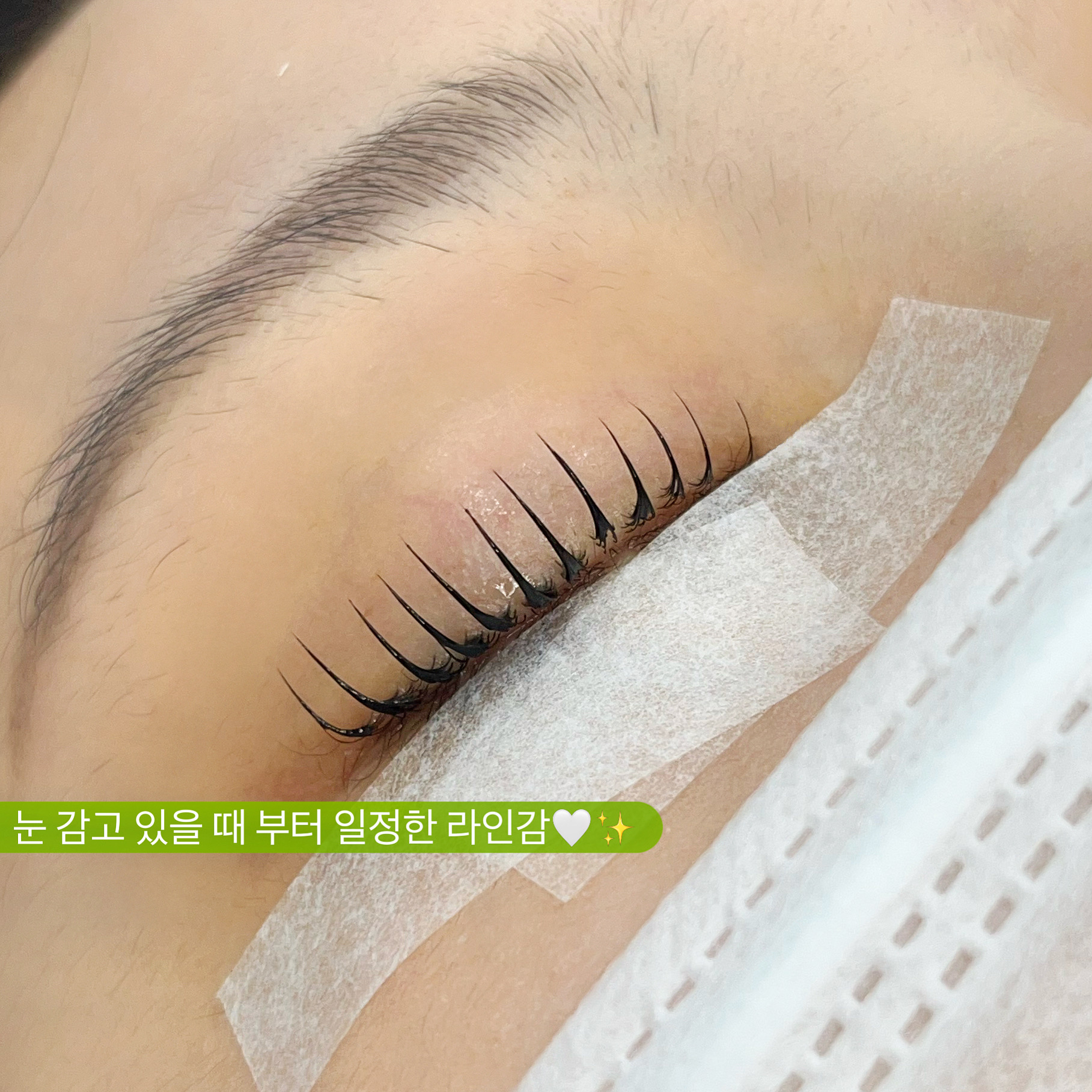 나무아이래쉬