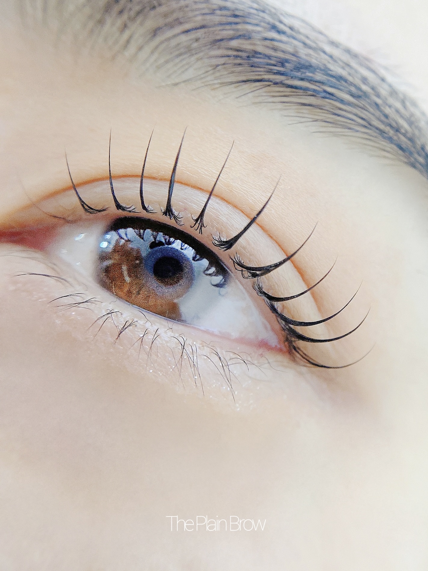 플레인브로우 대표 이미지