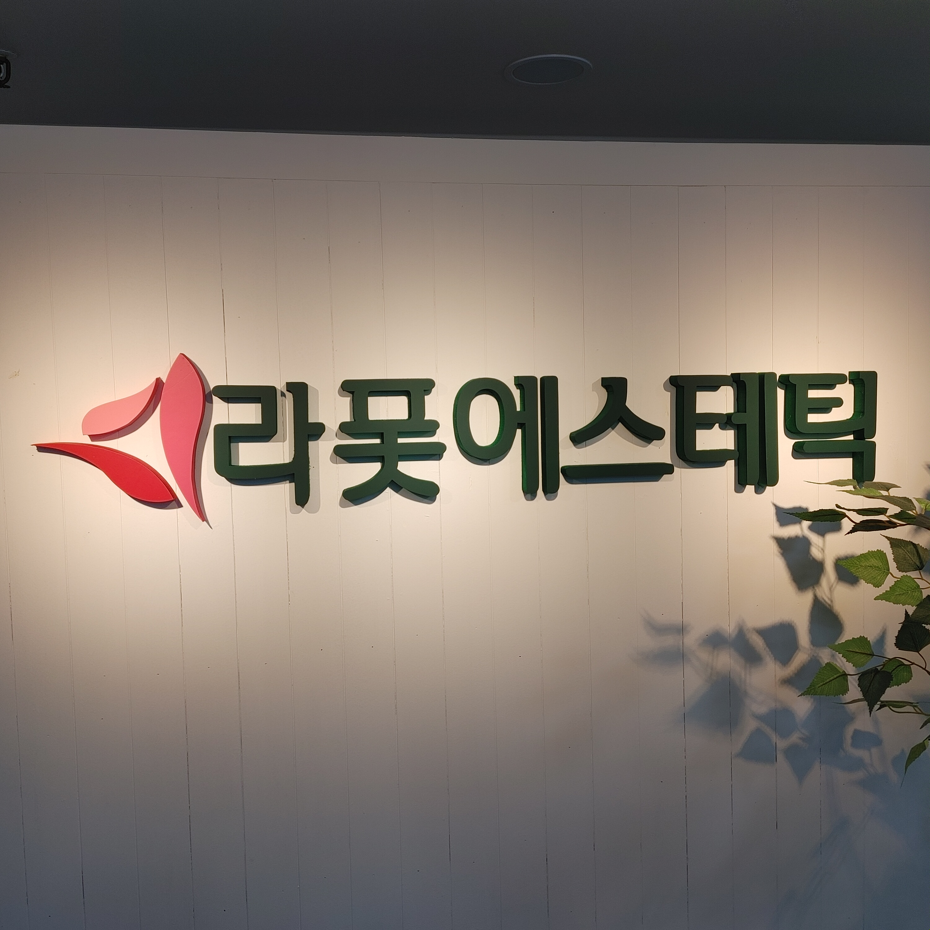 라폿에스테틱