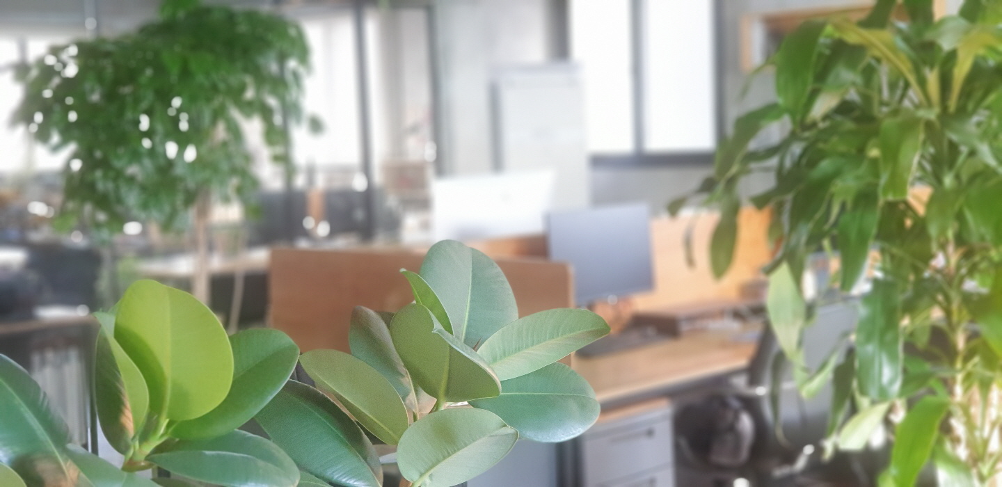 Sky Z 공유공간 대표 이미지