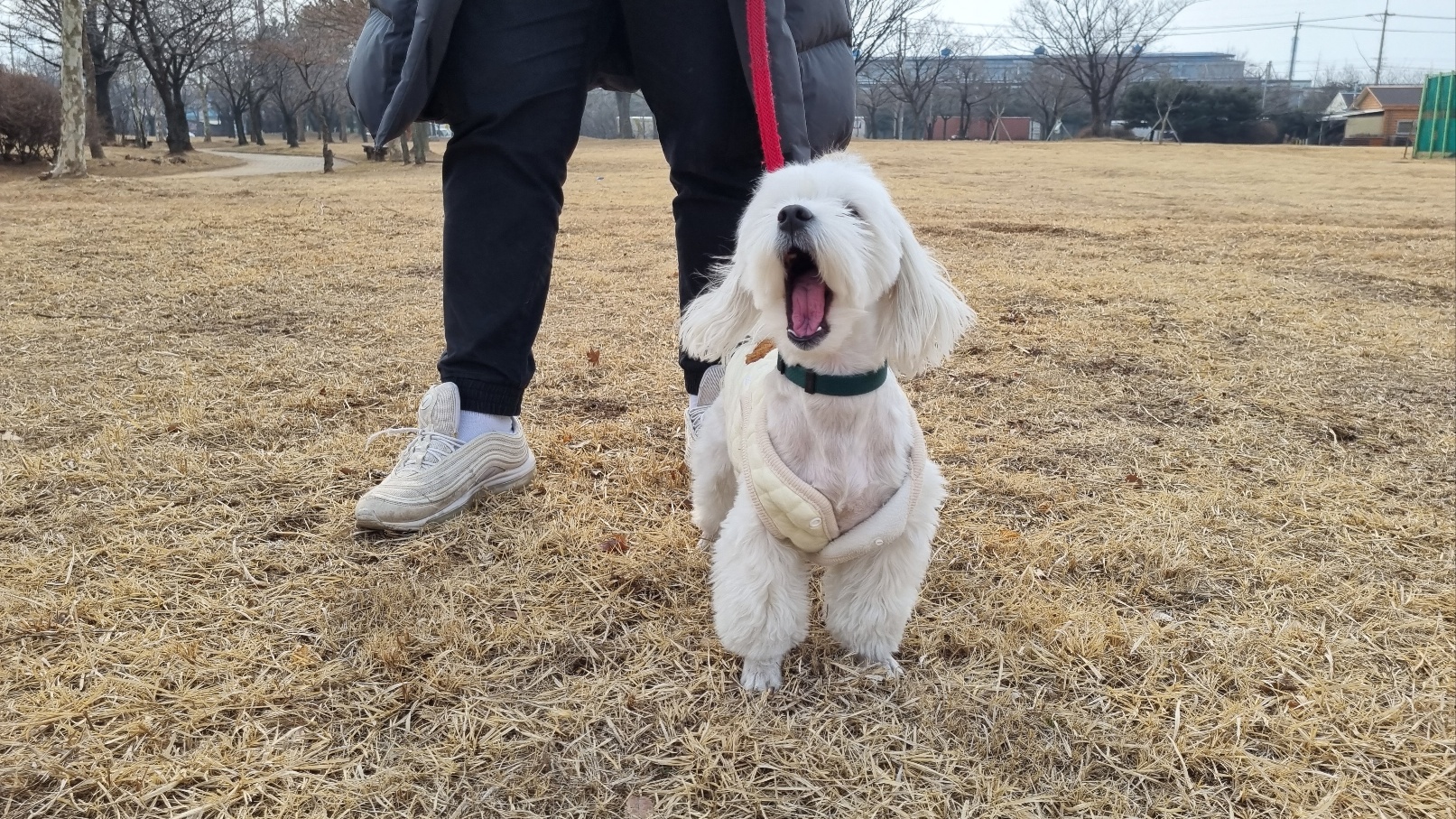 견학생스쿨