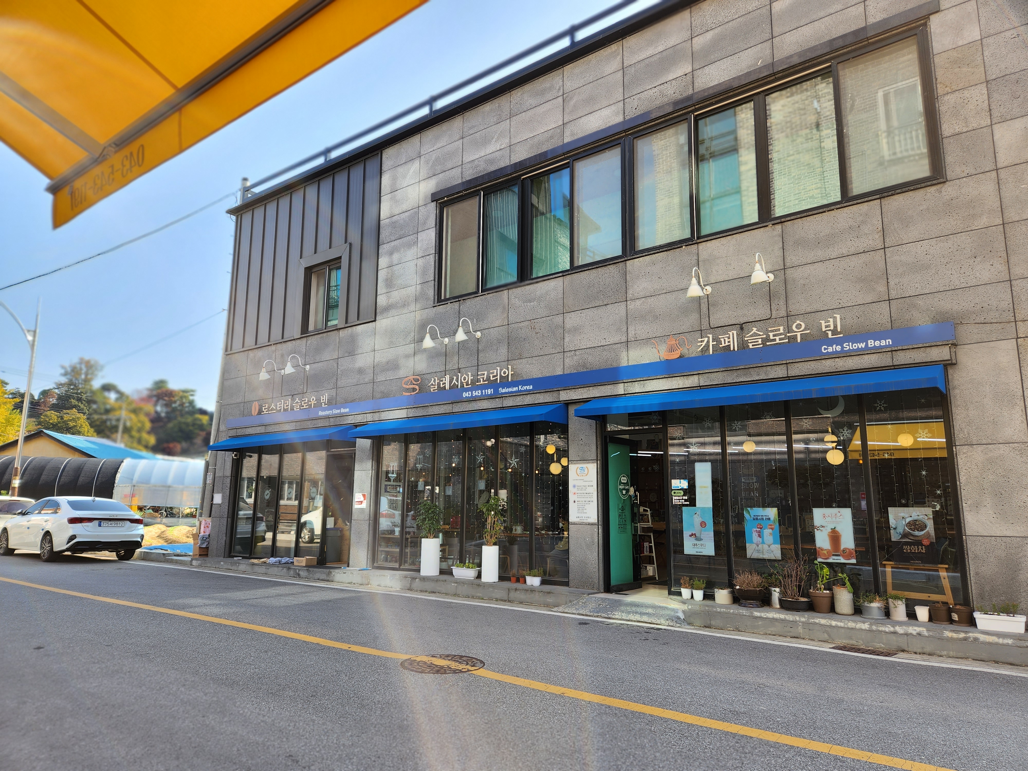 살레시안