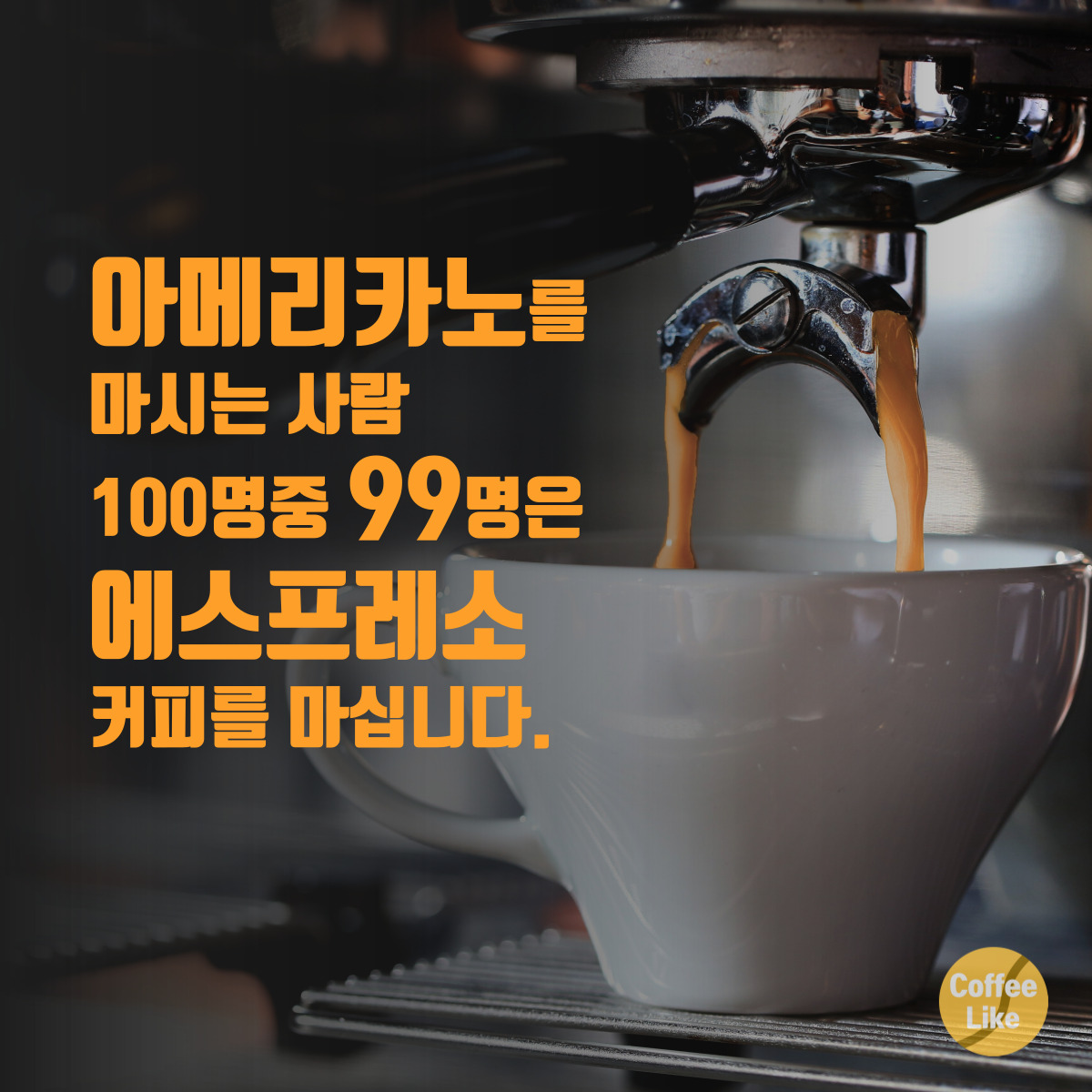 카페 커피라이크 by 폴인투게더 향남